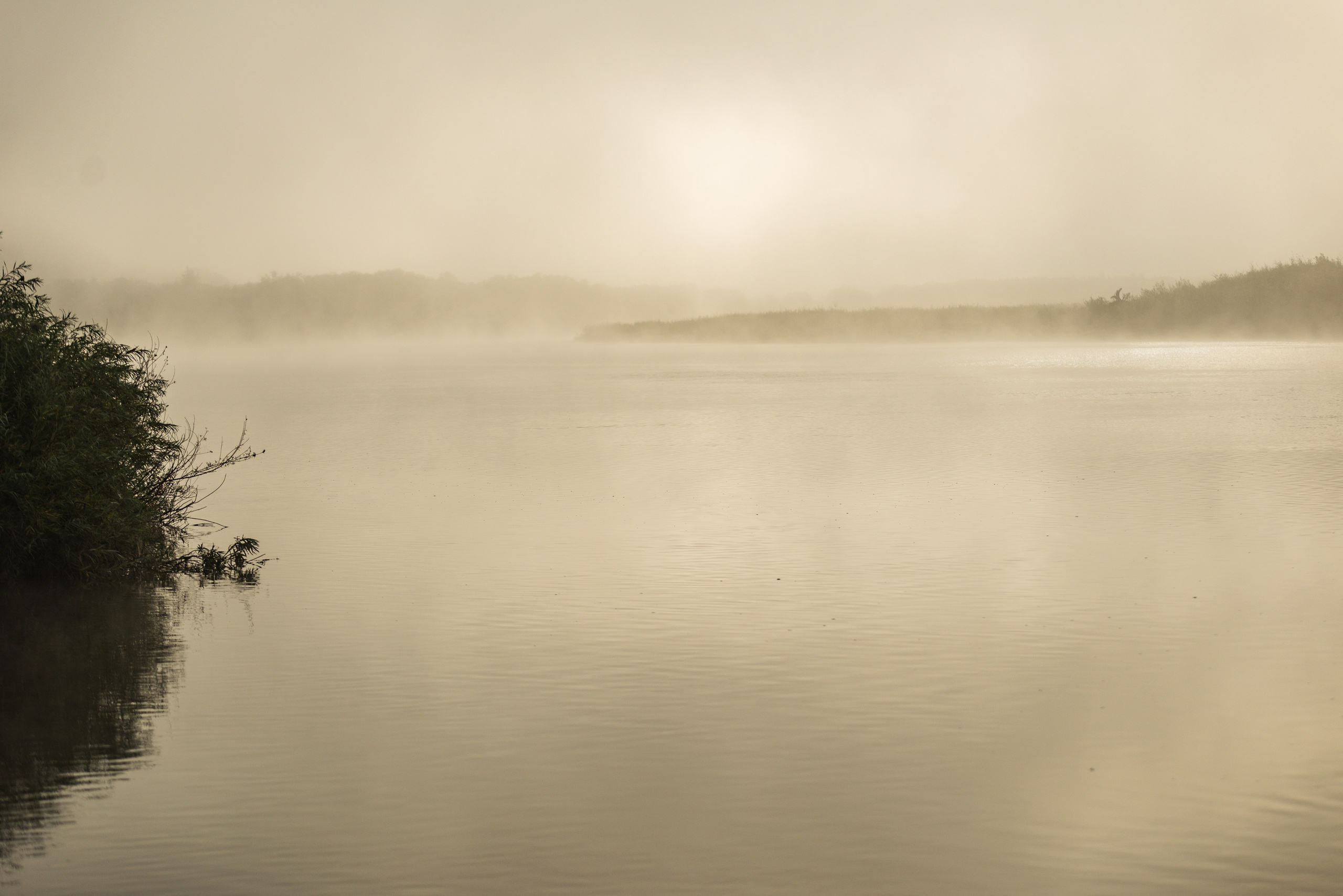 Утро августа. Фотограф в Ветлуге Сергей Белов (VETLUGA B.S.)