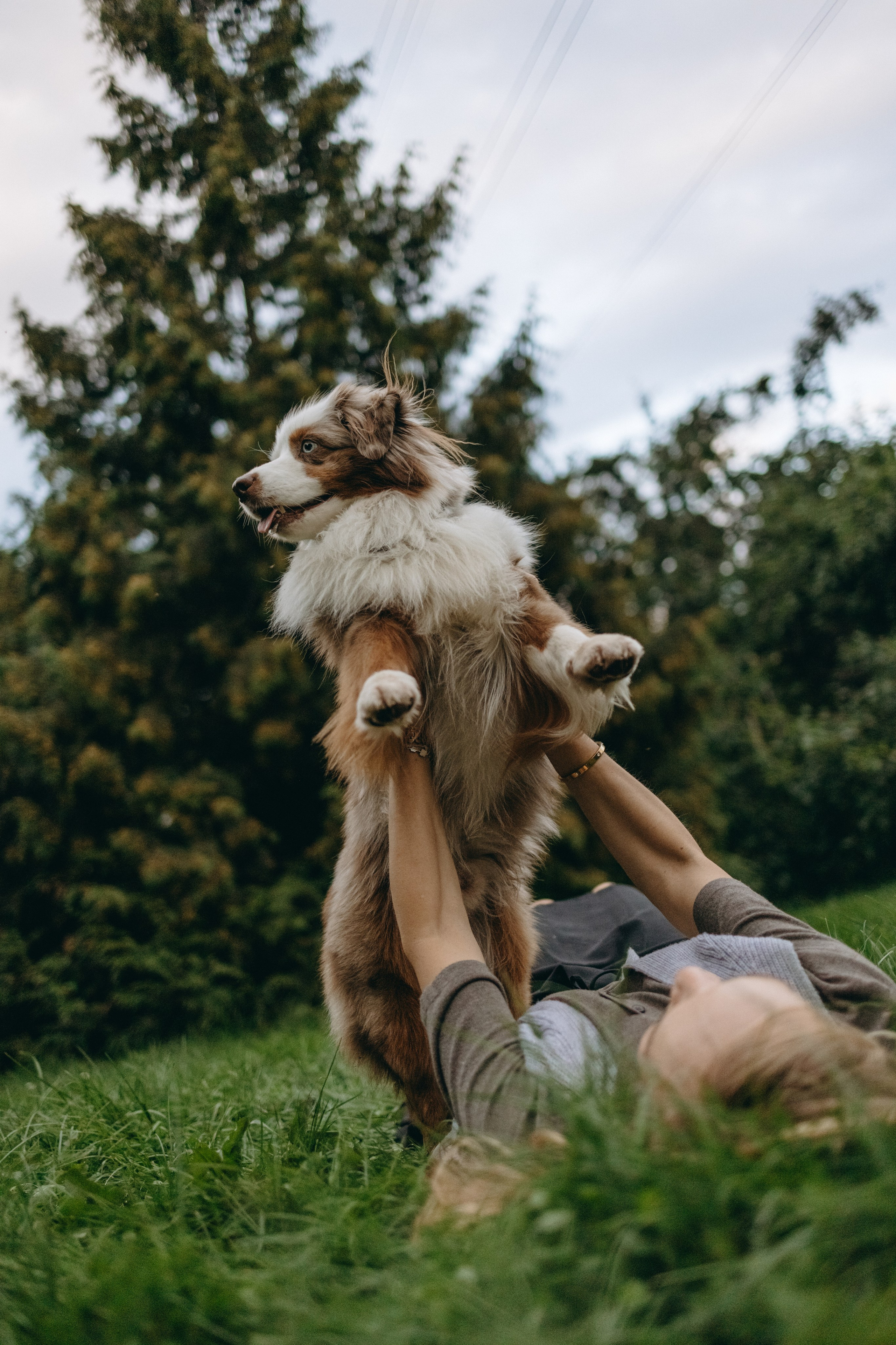 Маша и Эклер. Фотограф — Анималист | Санкт-Петербург