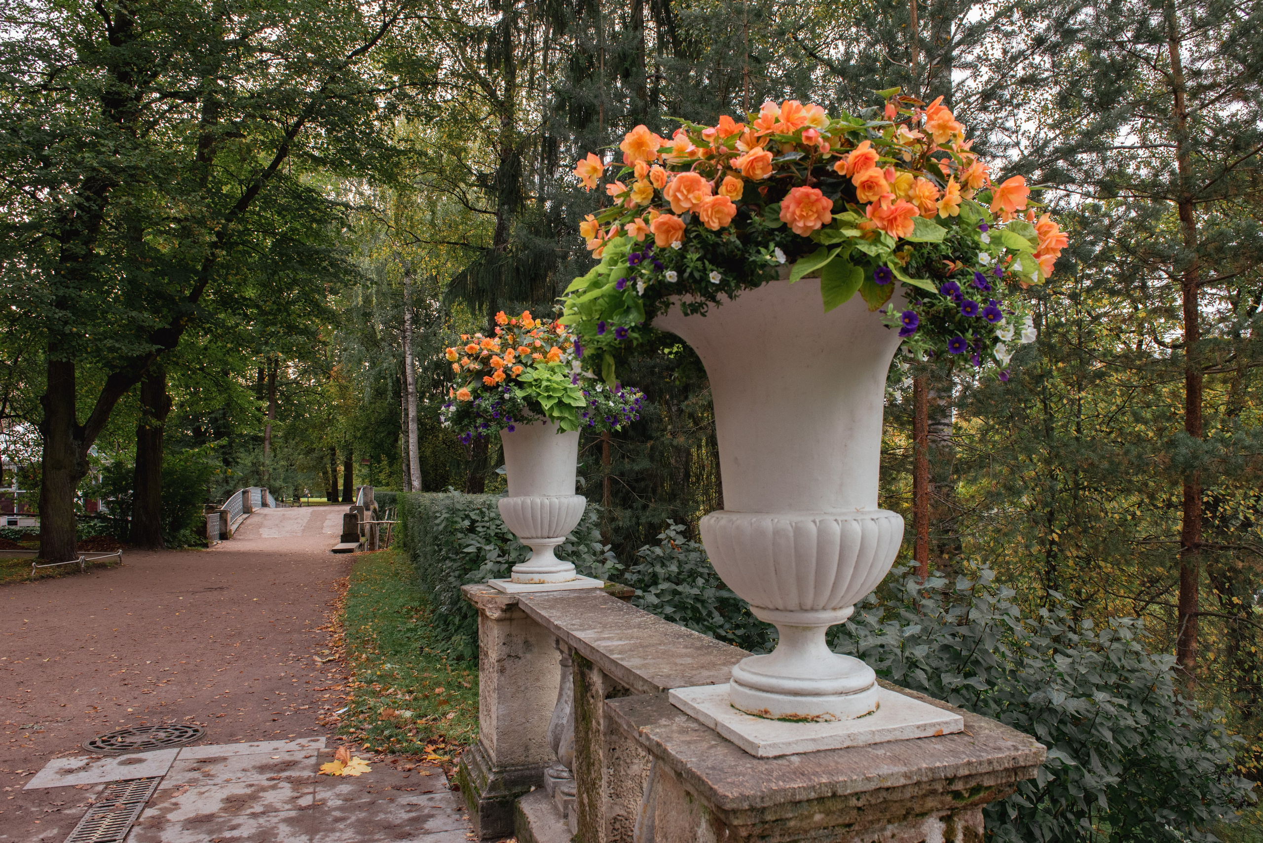 Павловский парк. Портретный и архитектурный фотограф в Москве и Санкт-Петербурге