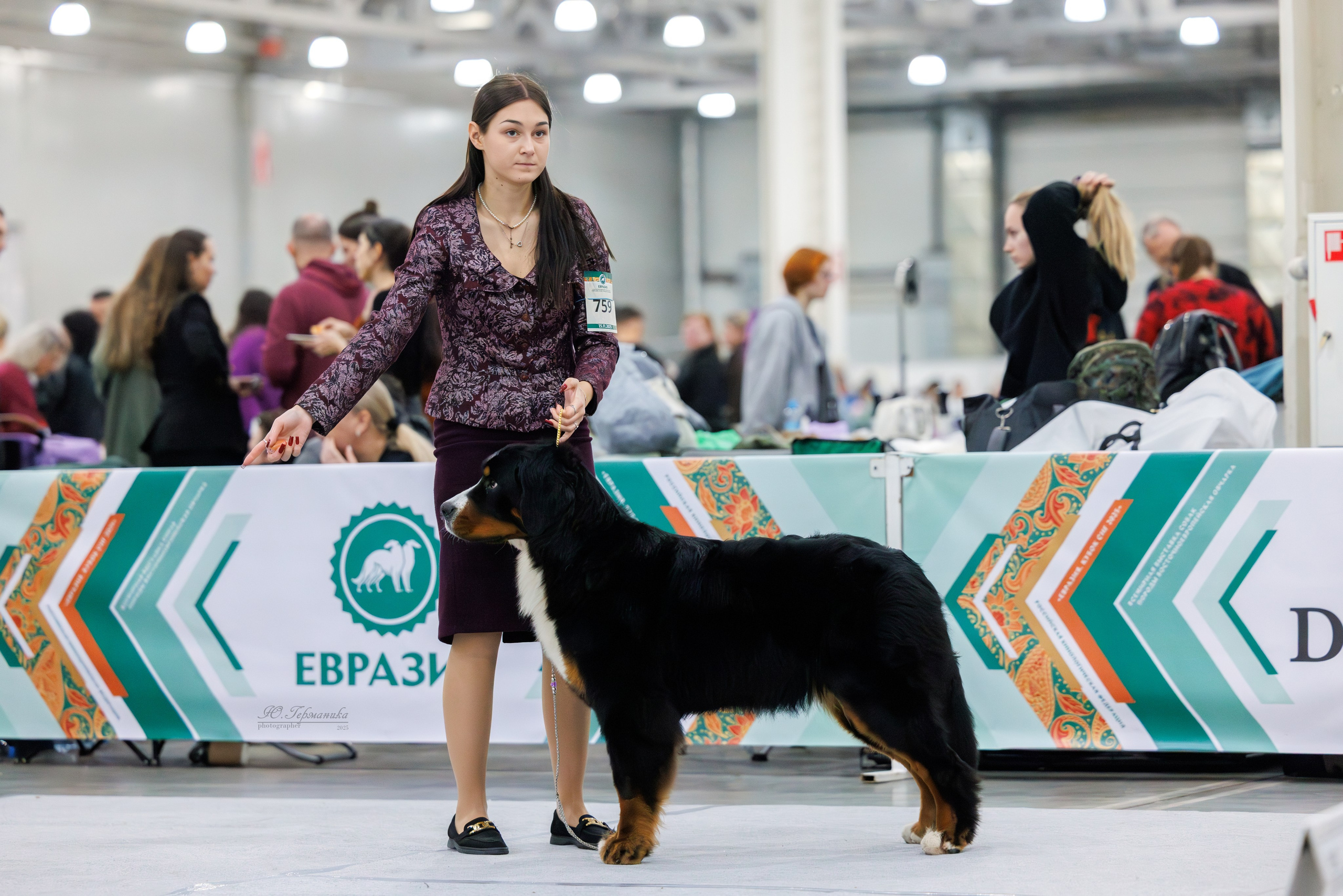 Евразия 15-16.11.2025. Фотограф-анималист Юлия Германика