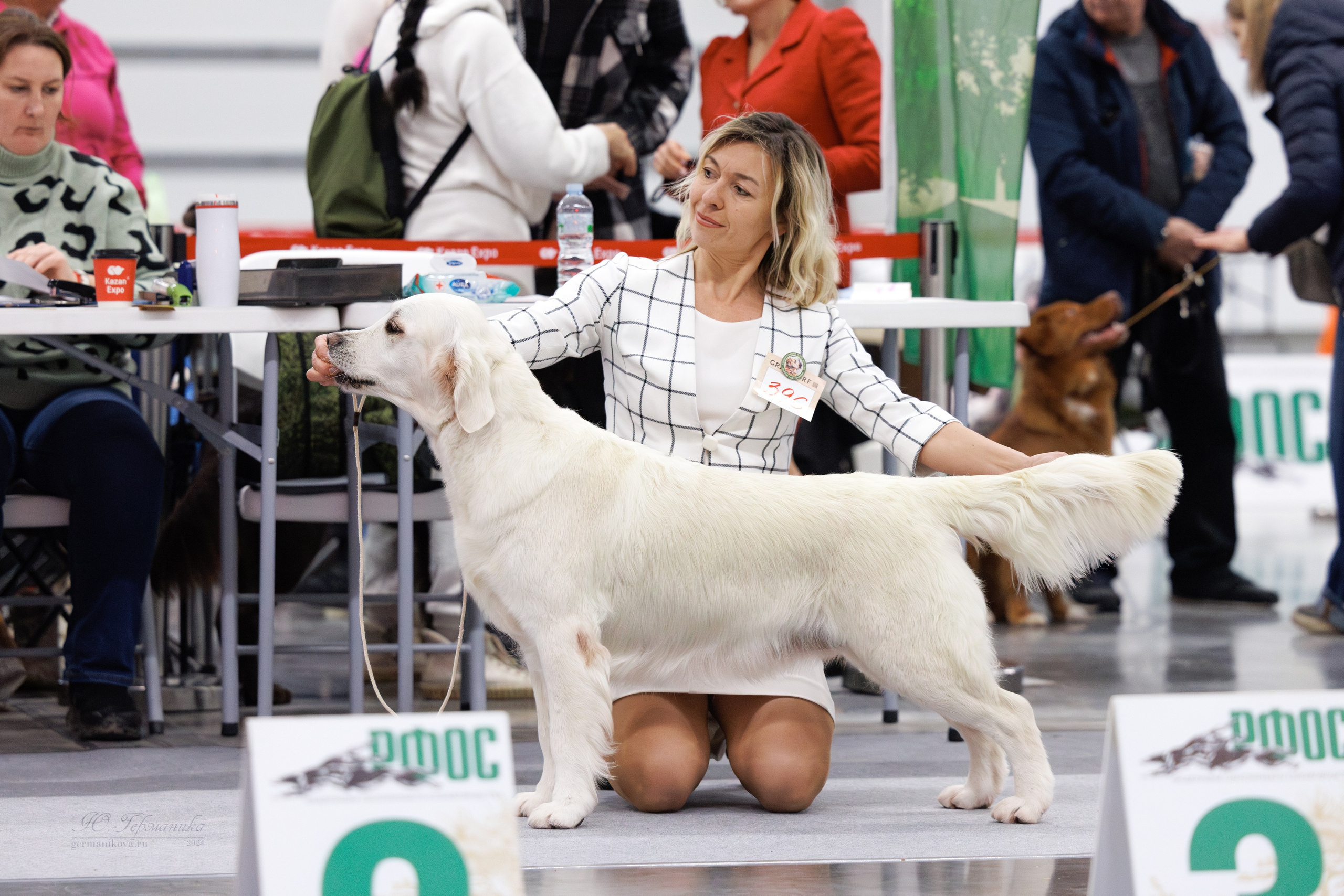Казань Зилант 30-01.12 2024. Фотограф-анималист Юлия Германика