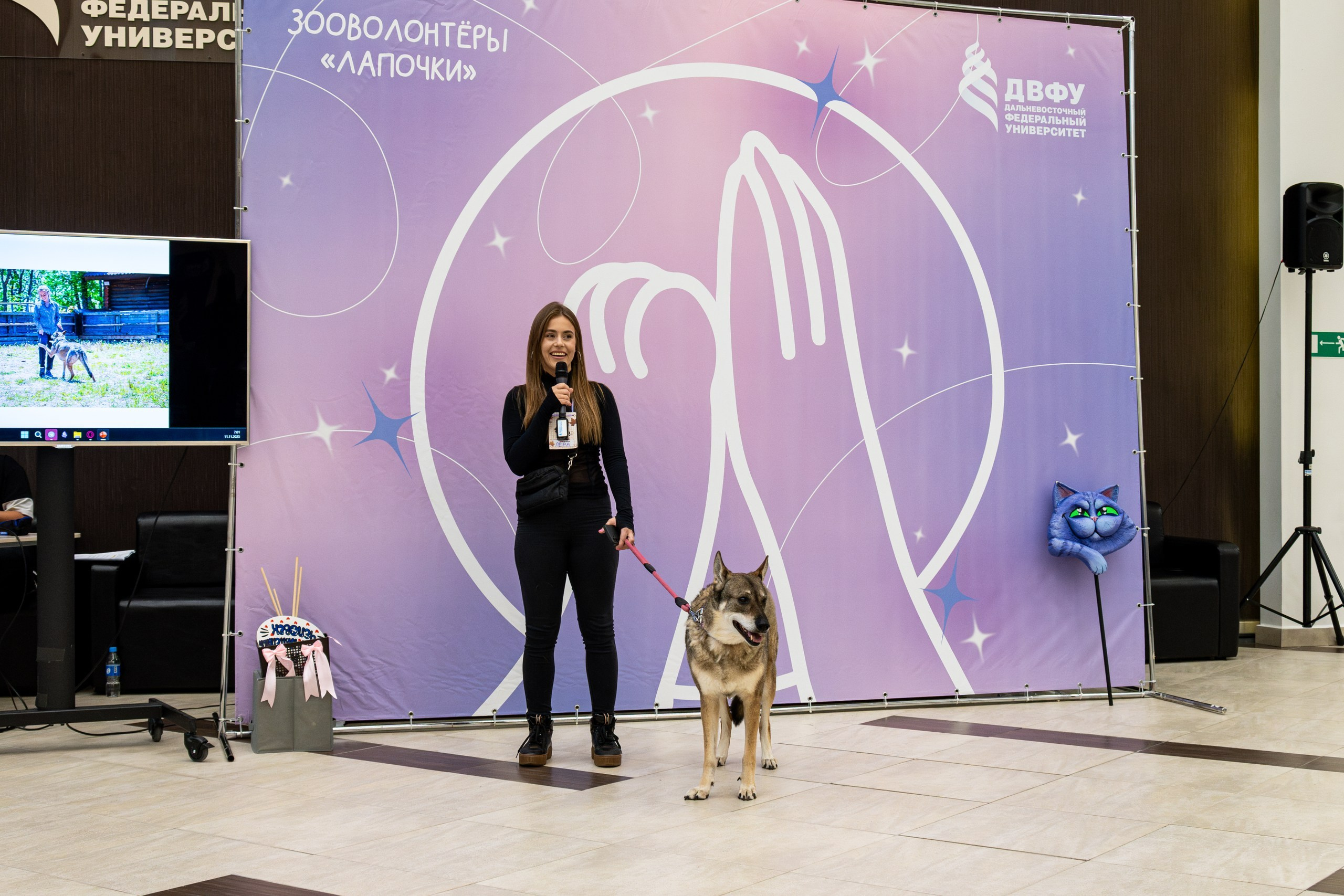 Благотворительная ярмарка «ЯрМУРка гав-версия». Репортажный и портретный фотограф во Владивостоке Денис Седов