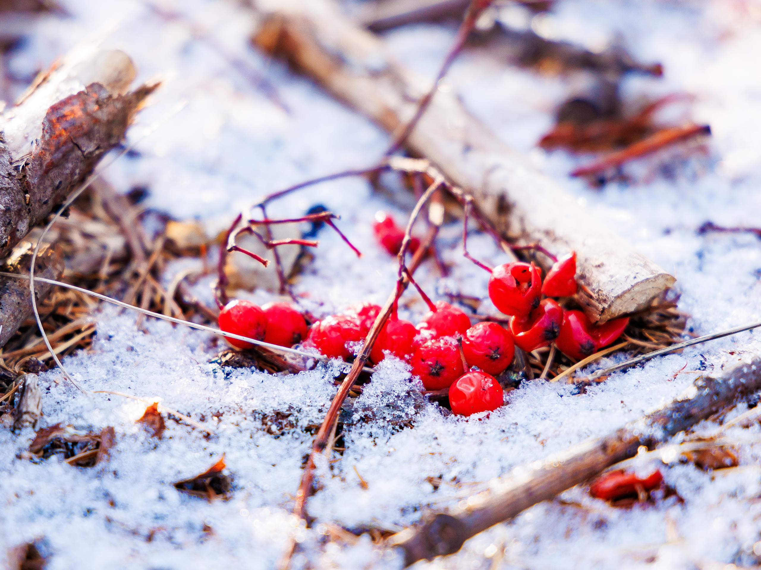 Патриот.слёт. Инга Кузьминская ТОП-фотограф г. Корсаков