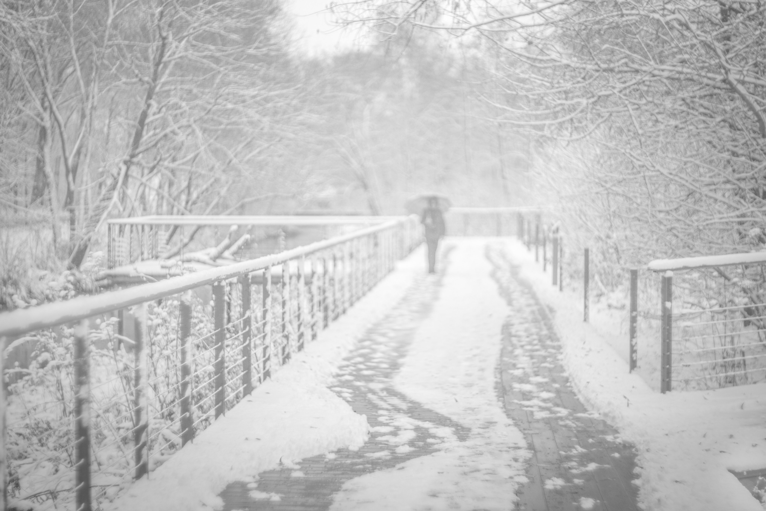 Призёр годового рейтинга Всероссийского конкурса «Фотограф Года Евразии 2025». Фотограф в Москве Татьяна Макотра