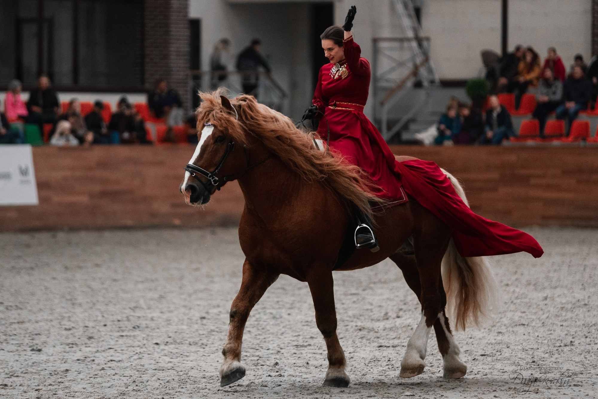 8-я международная выставка Конная Россия. Конный фотограф Куракина Дарья • Фотосессии с лошадьми