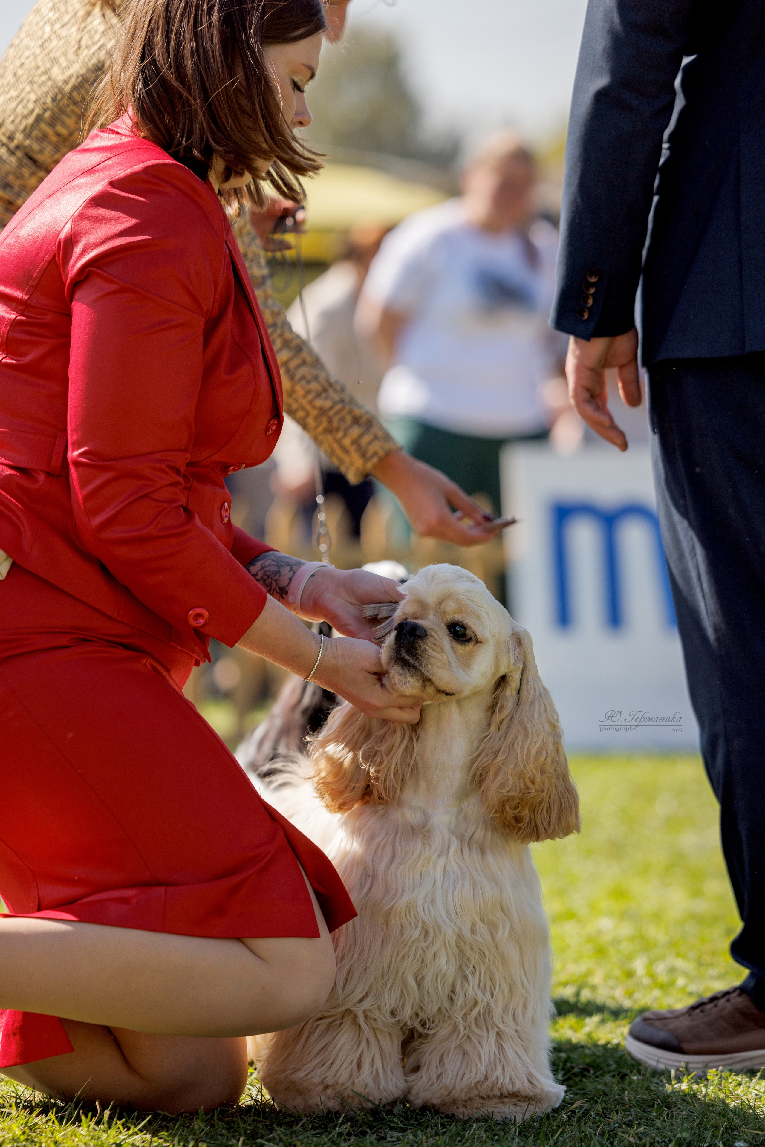 Ереван 14-16.10.2025. Фотограф-анималист Юлия Германика