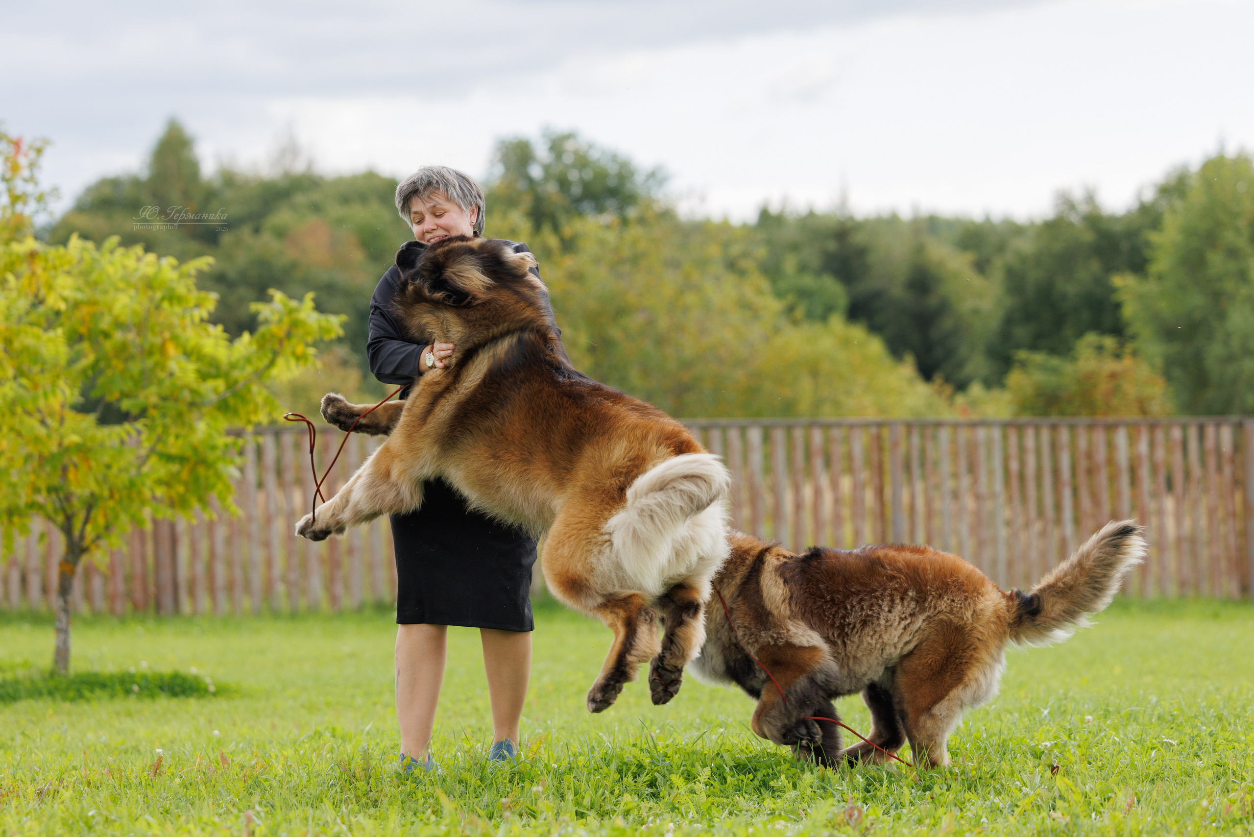 Переславль 5-7.08.2025. Фотограф-анималист Юлия Германика
