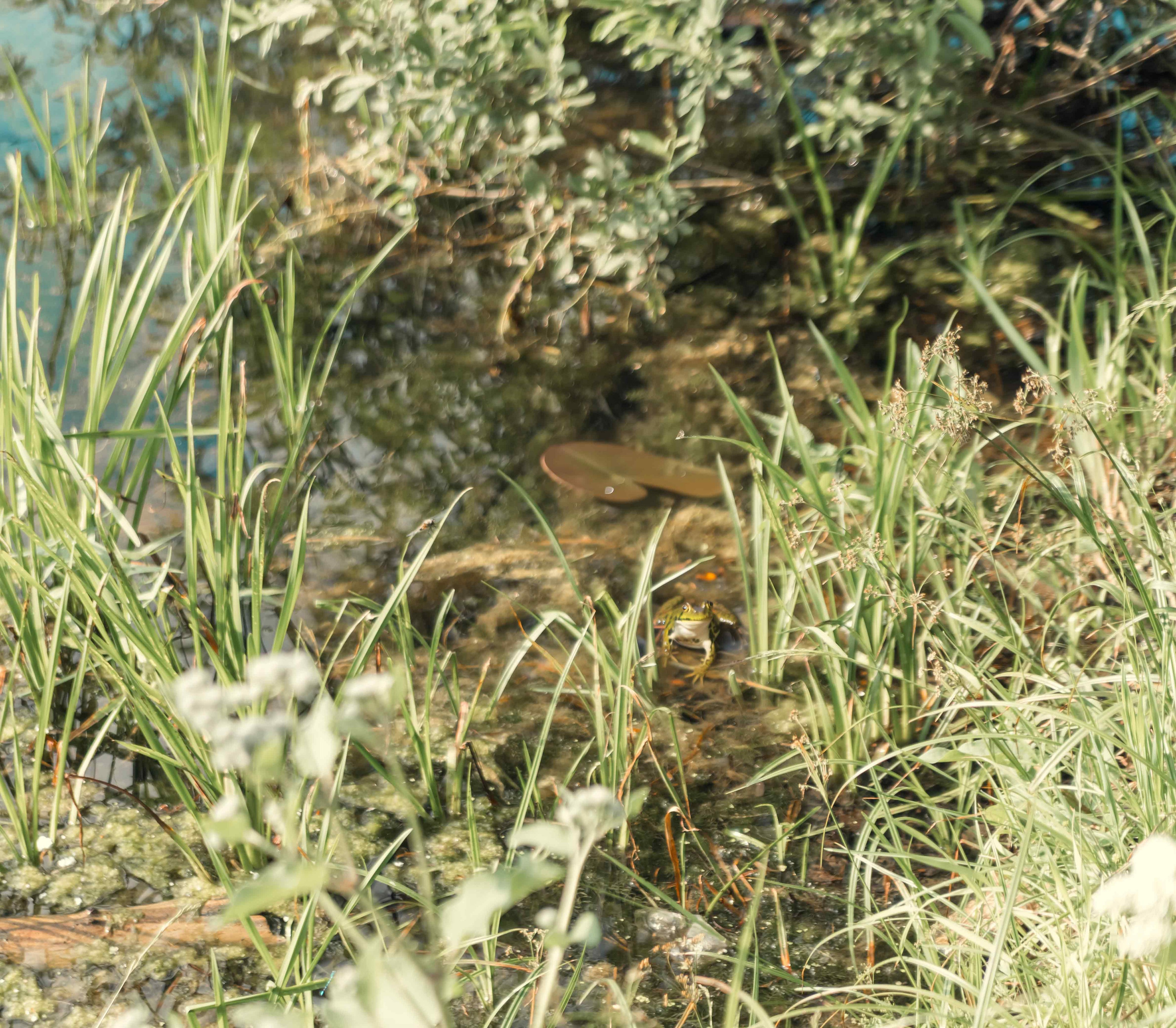 Детская фотосессия. Семейный, свадебный и детский фотограф в Новосибирске Ольга Хидченко