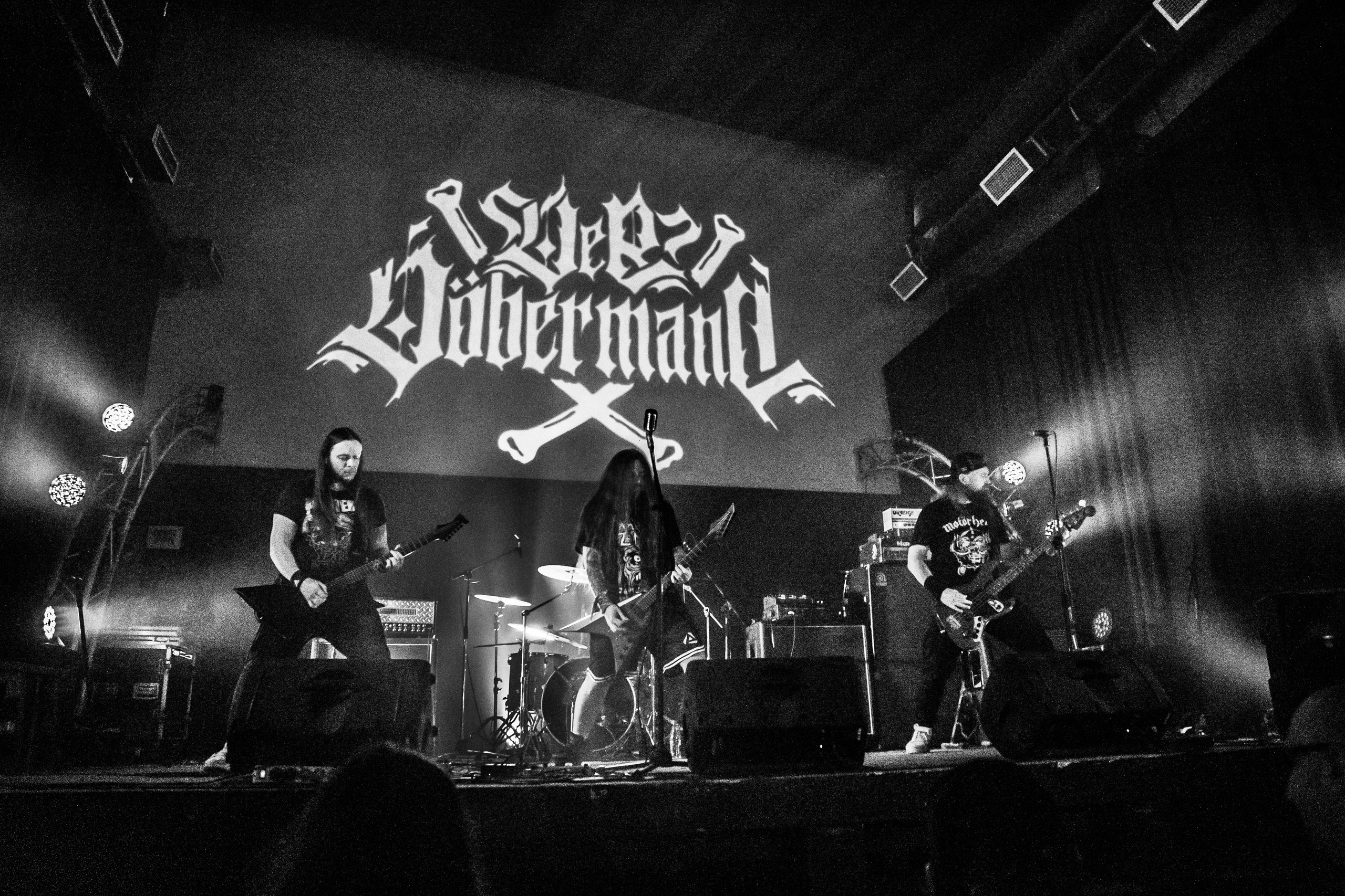 Der Döberman. Фотограф в Санкт-Петербурге Чумаков Семен