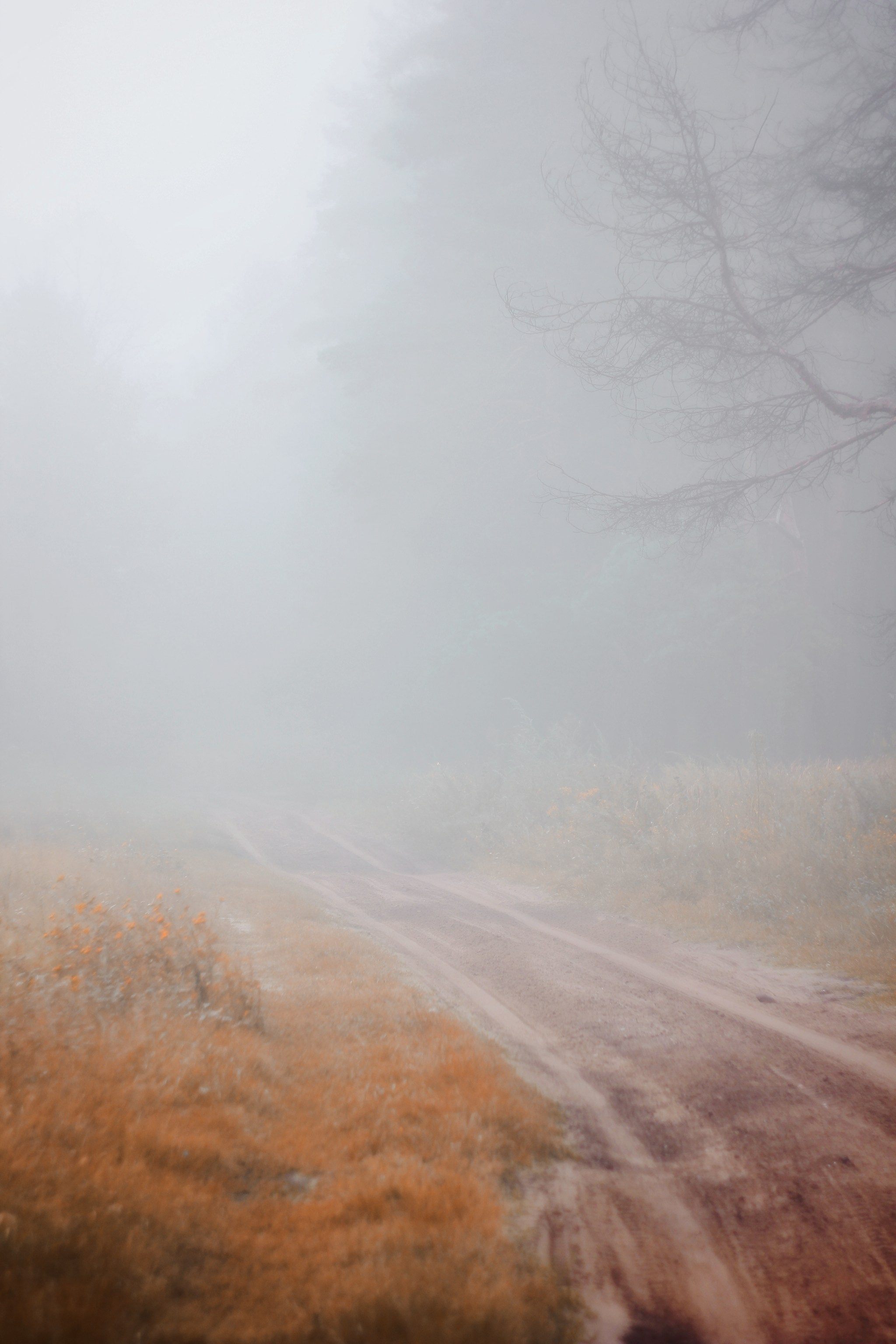 Меланхолия августа. С любовью, фотохудожник