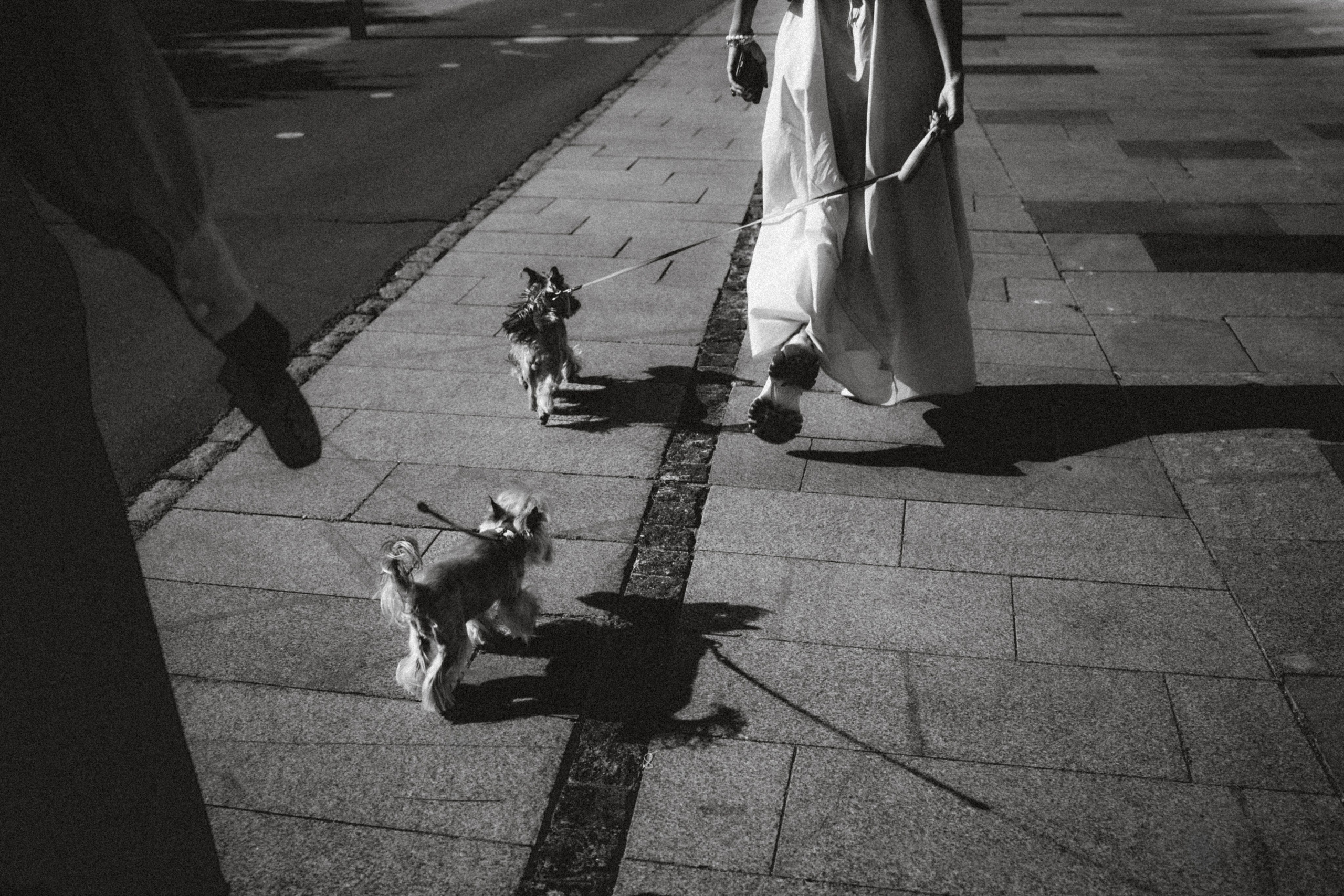 Дженни, Оливия и их семья