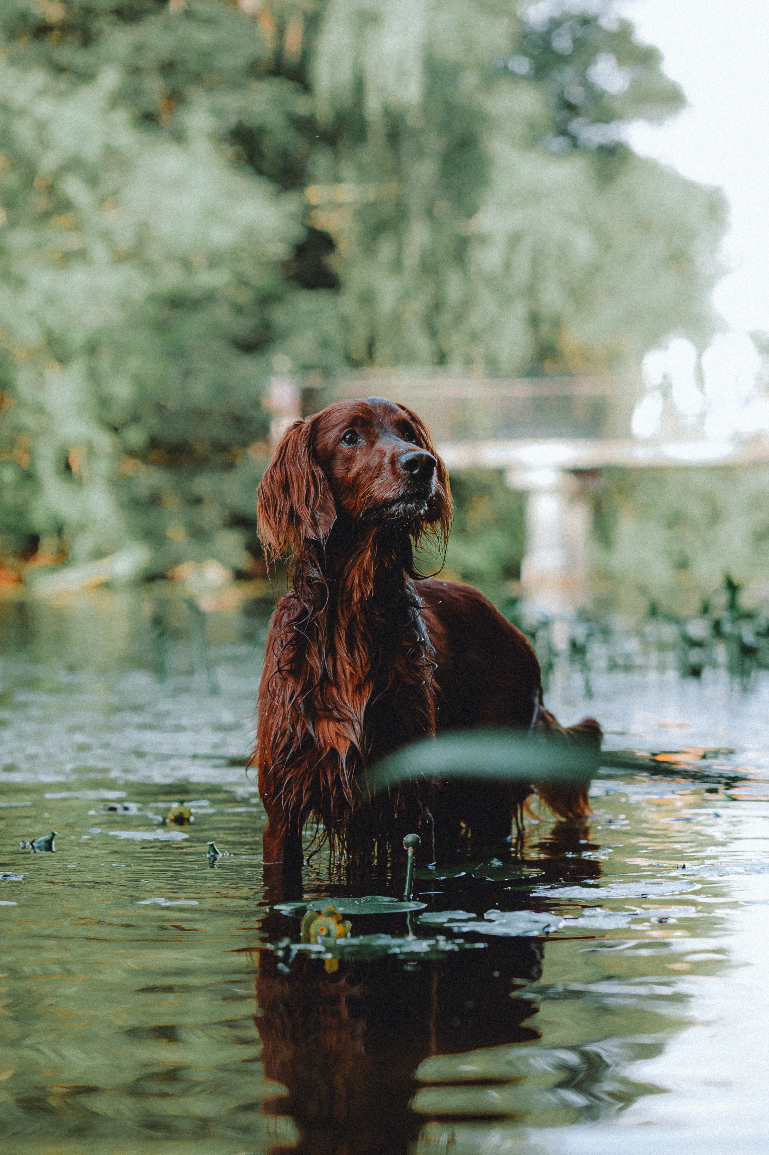 Маша и Джерри