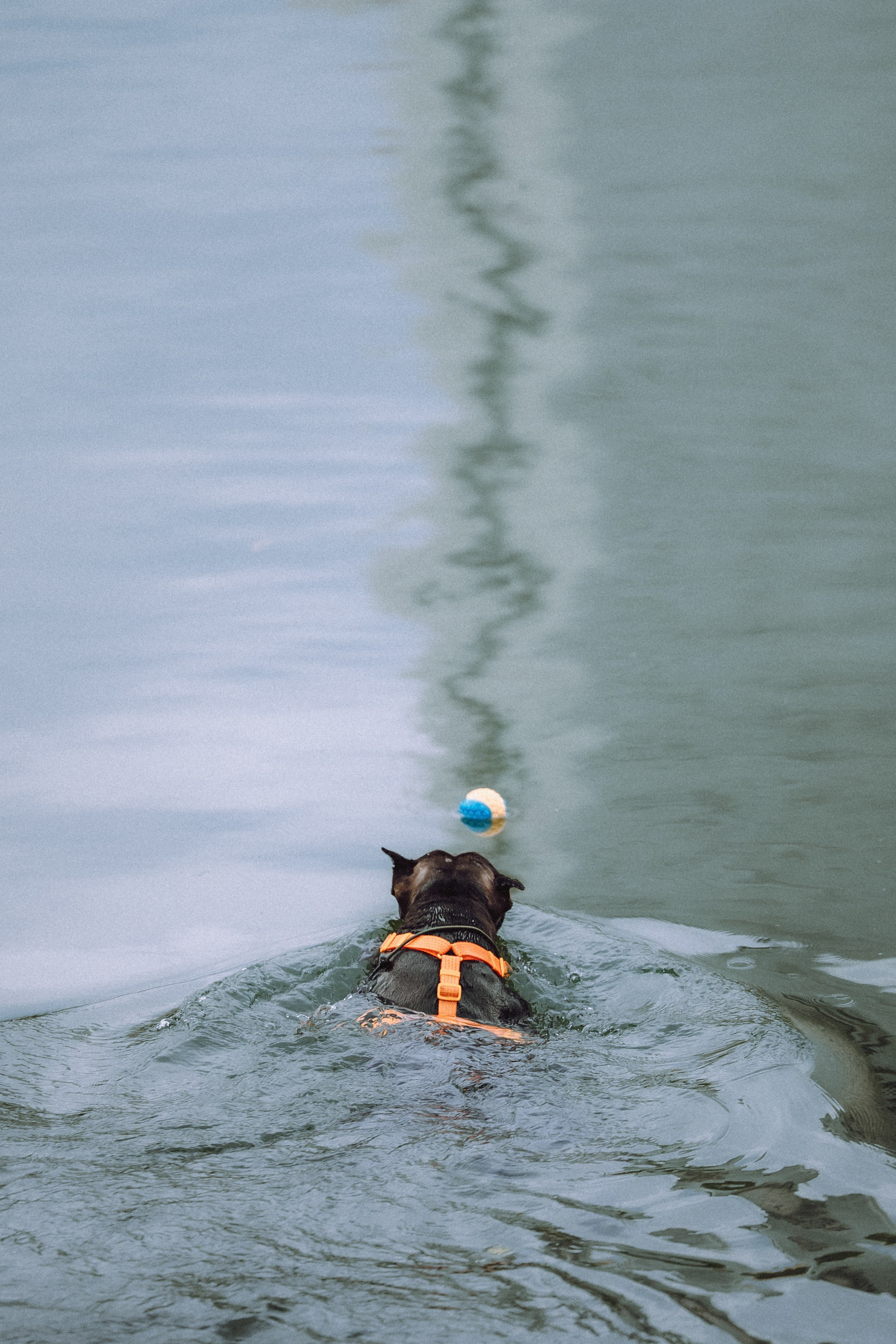 Паша, Хайди и Тея