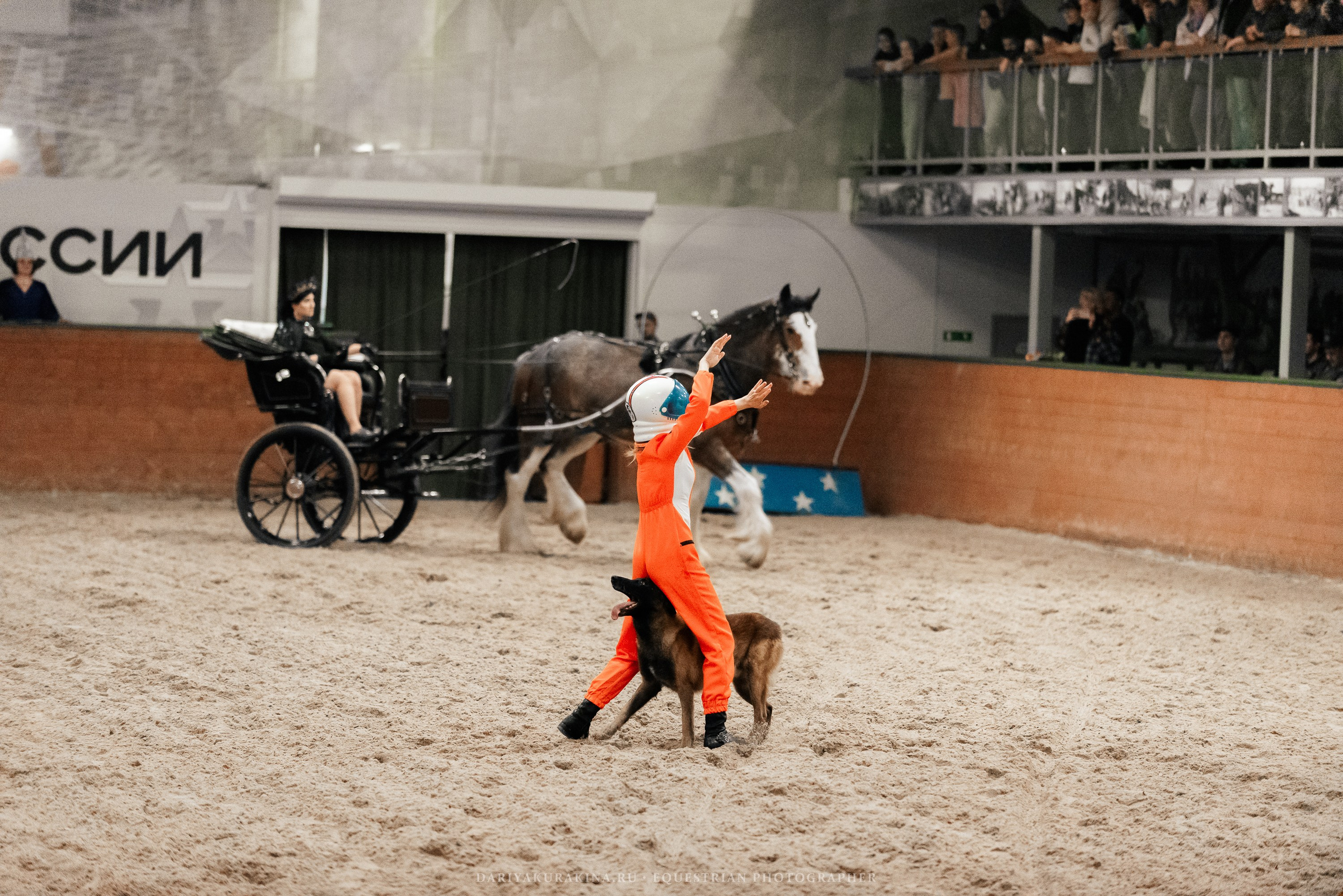 Конное представление «Дыхание Звёзд». Конный фотограф Куракина Дарья • Фотосессии с лошадьми