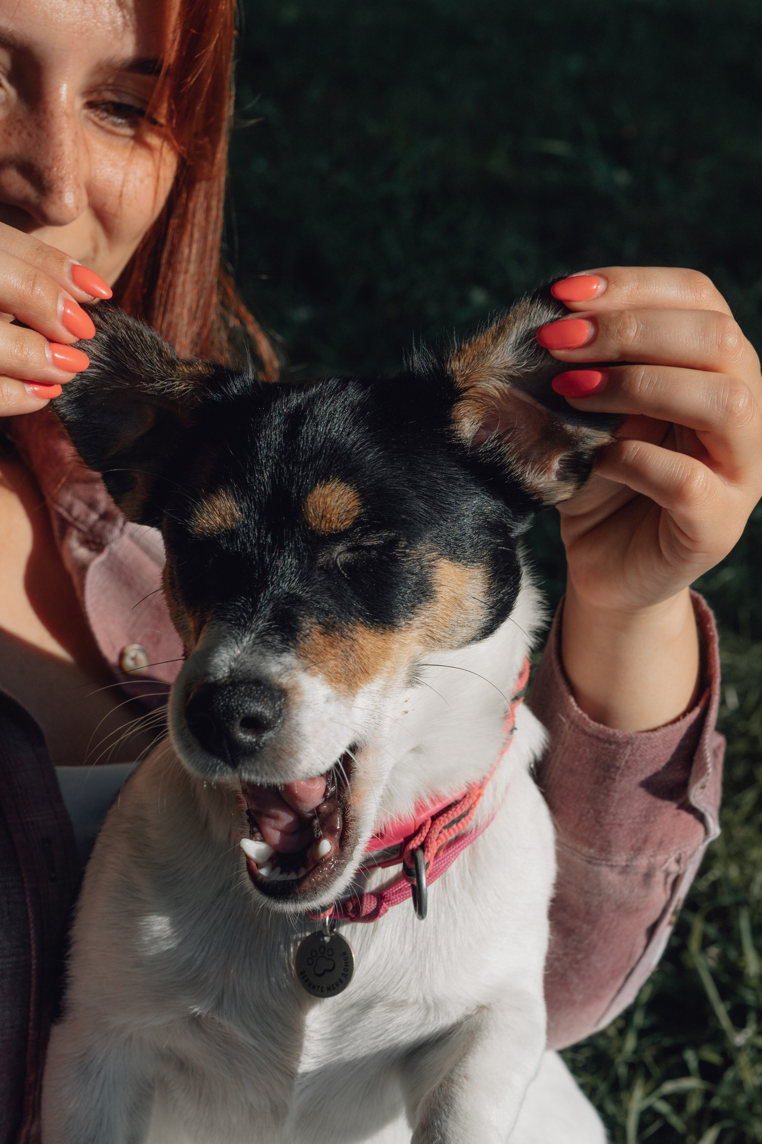 Аня и Луна. Фотограф и видеограф в Тюмени Екатерина Чернецкая