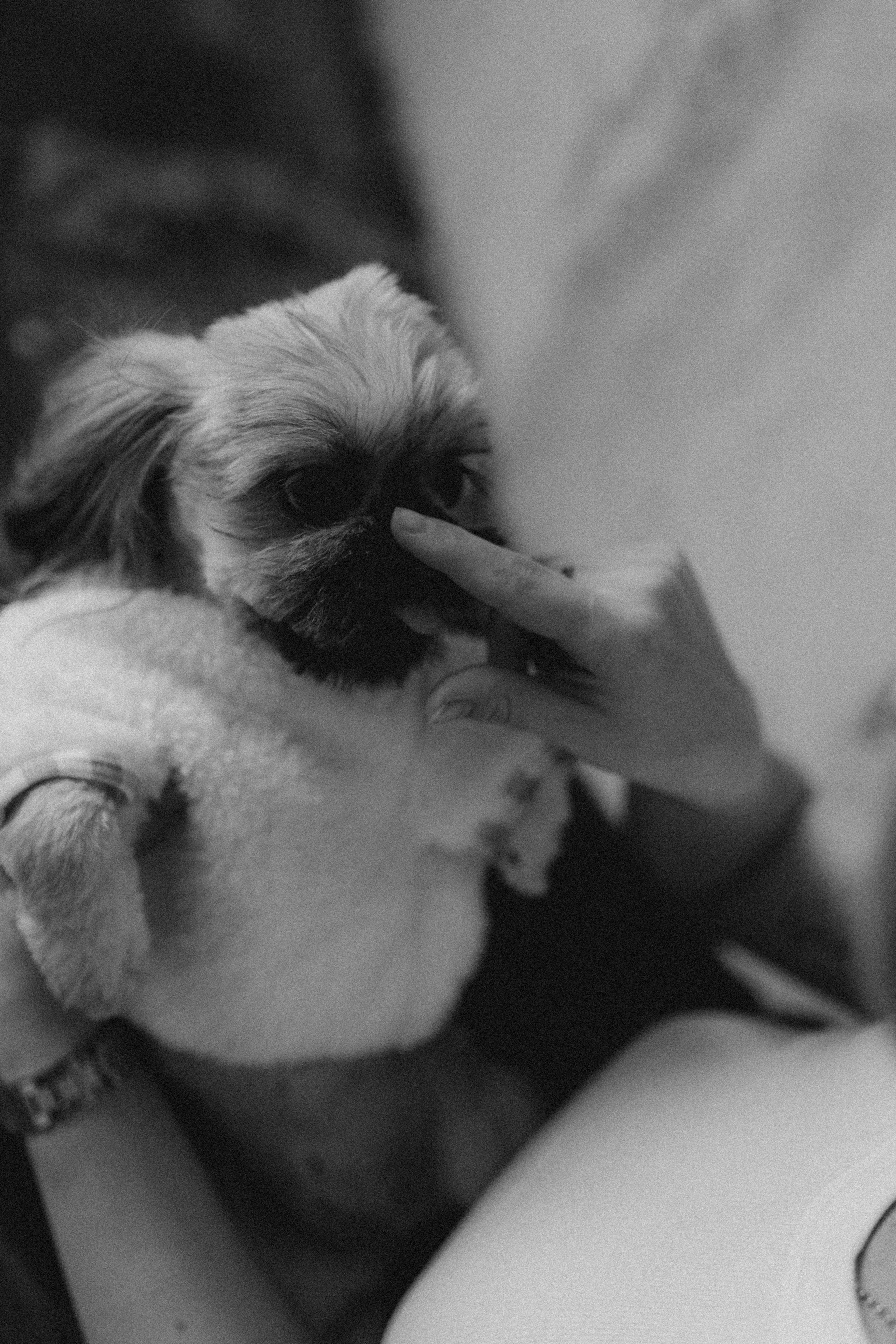 Алина. Фотограф НОГИНСК, Москва, Анастасия Белая