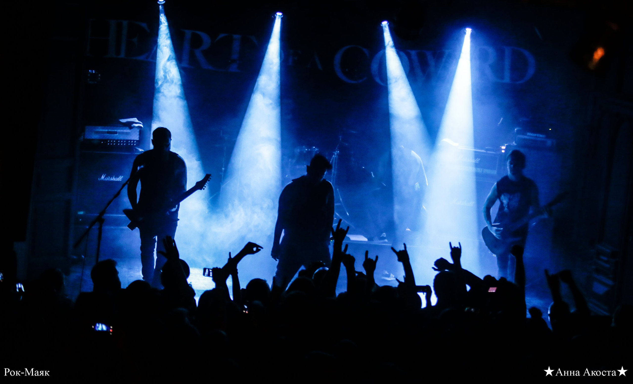 Heart Of A Coward. Анна Акоста: фотограф в Санкт-Петербурге и Таганроге