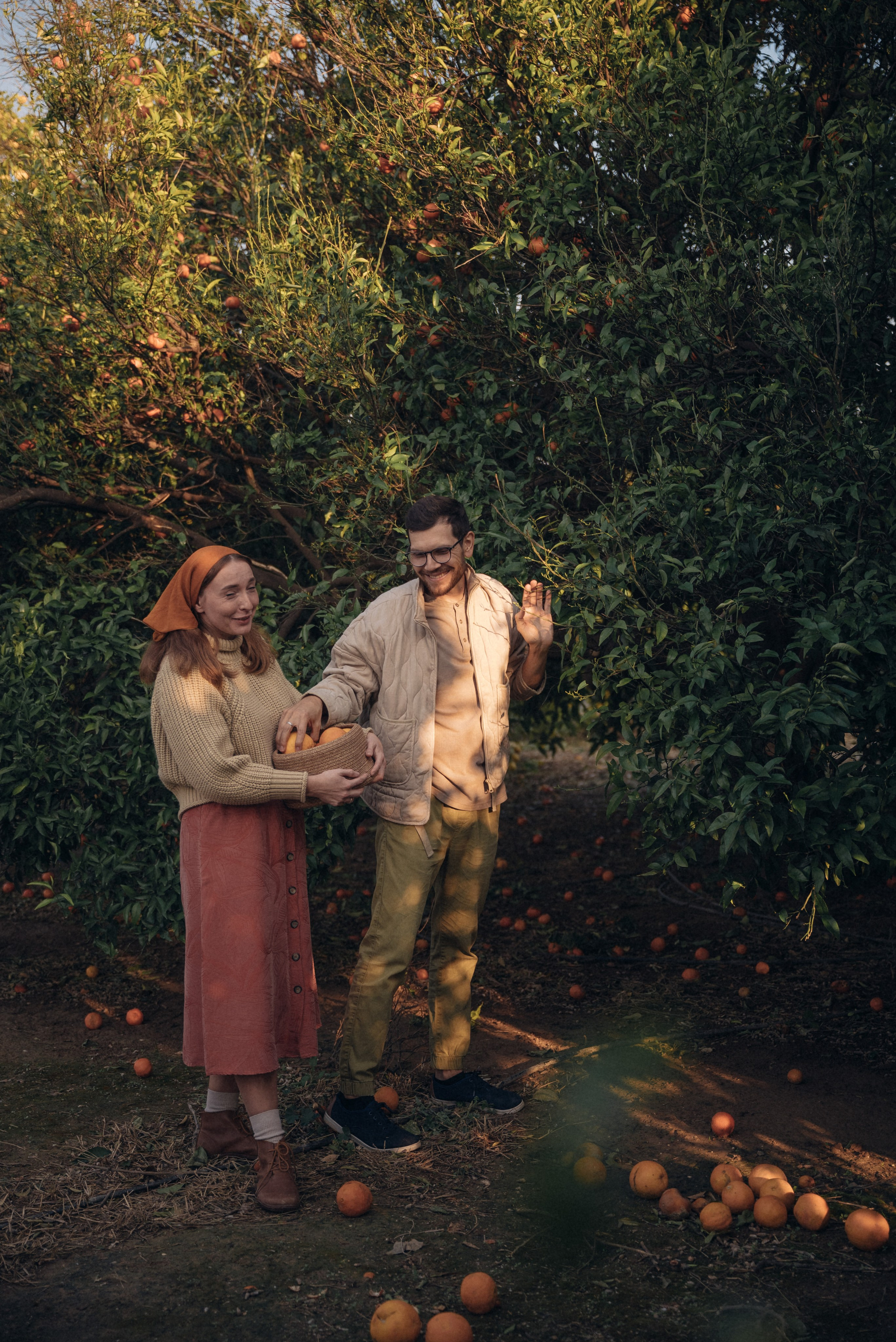 Сбор урожая. Анна Лобанова | фотограф