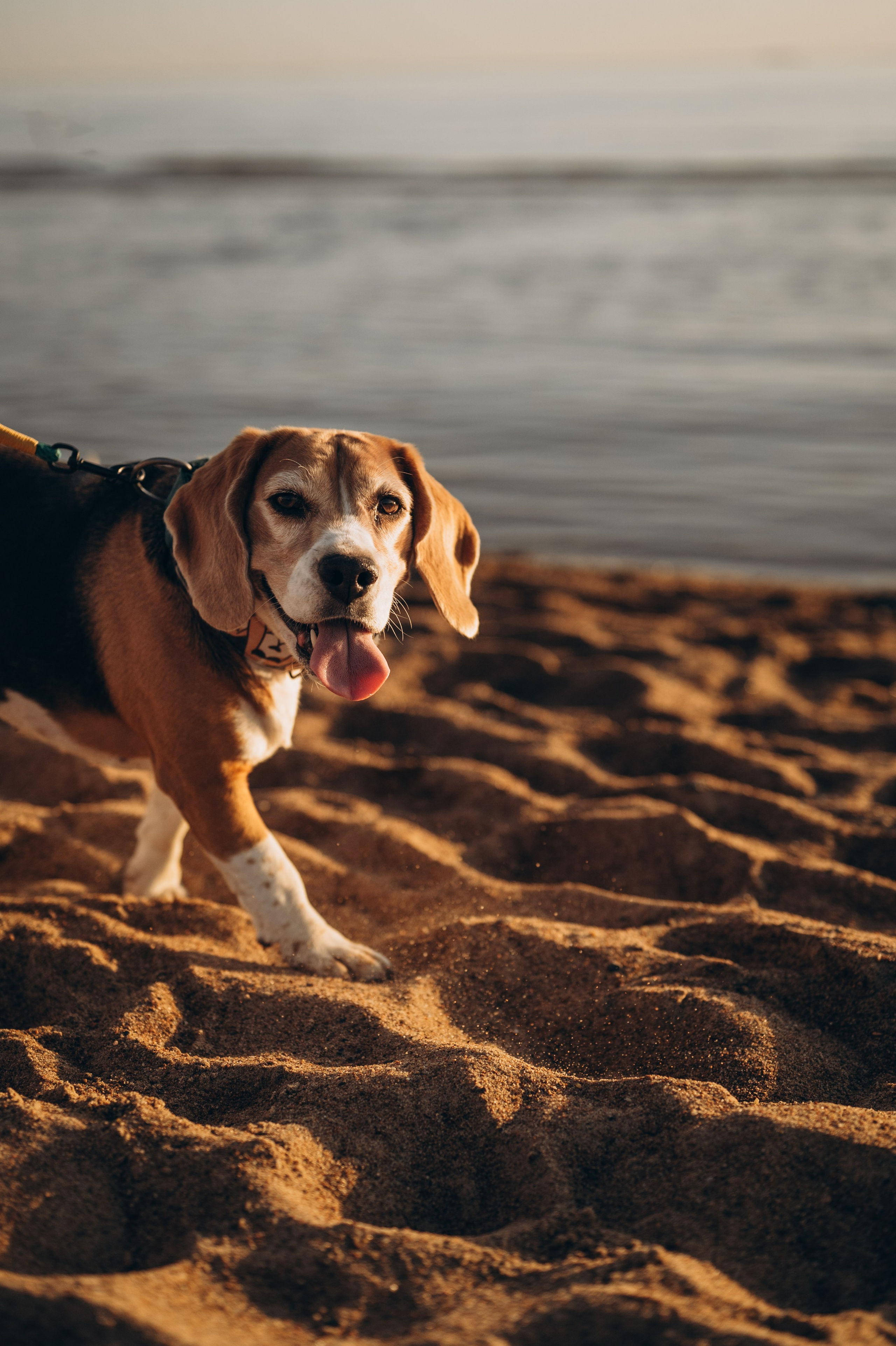 Женя, Вика и Давид в Солнечном. Фотограф Горбенко Анна