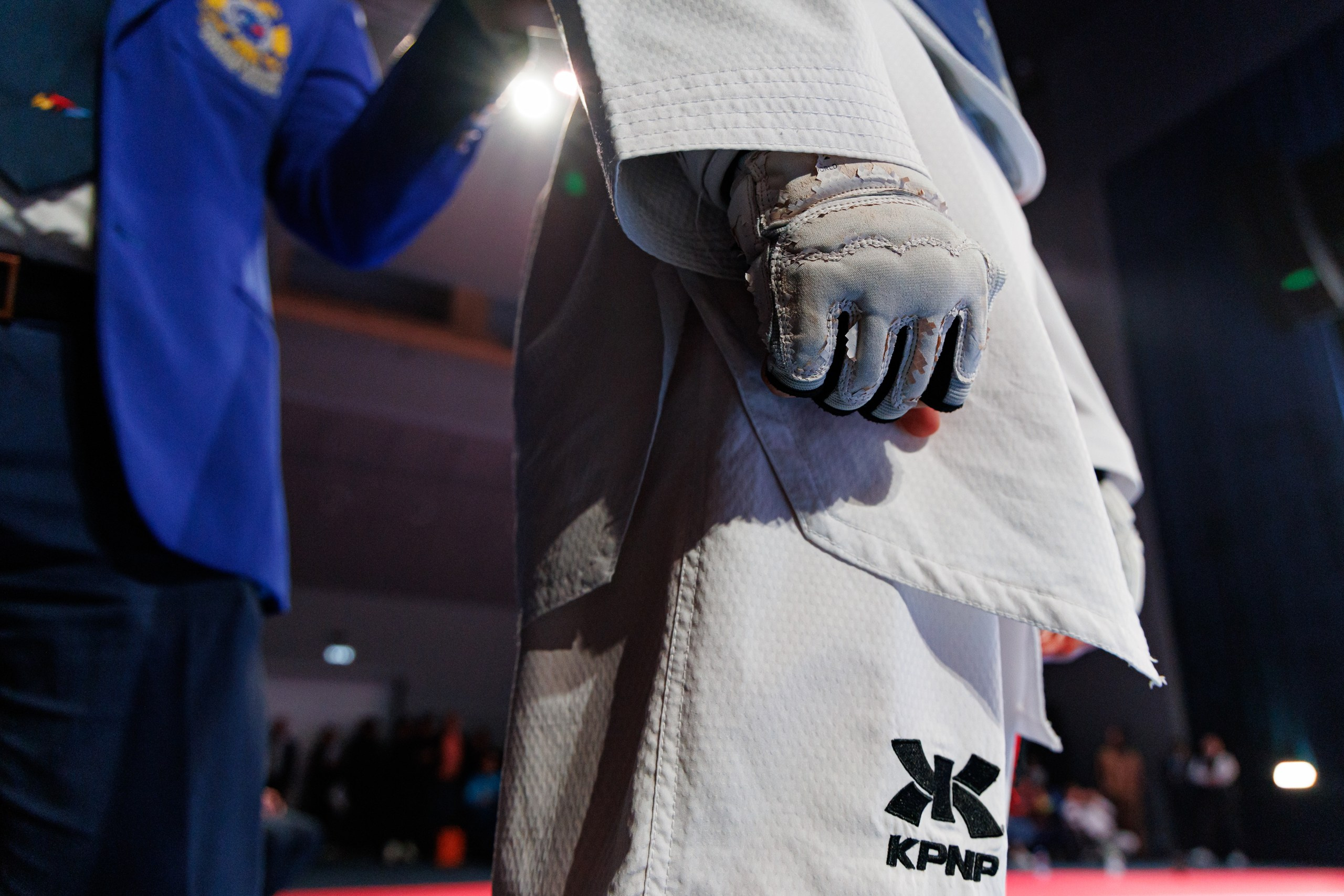 ПроТхэквондо Тур | Финальный этап