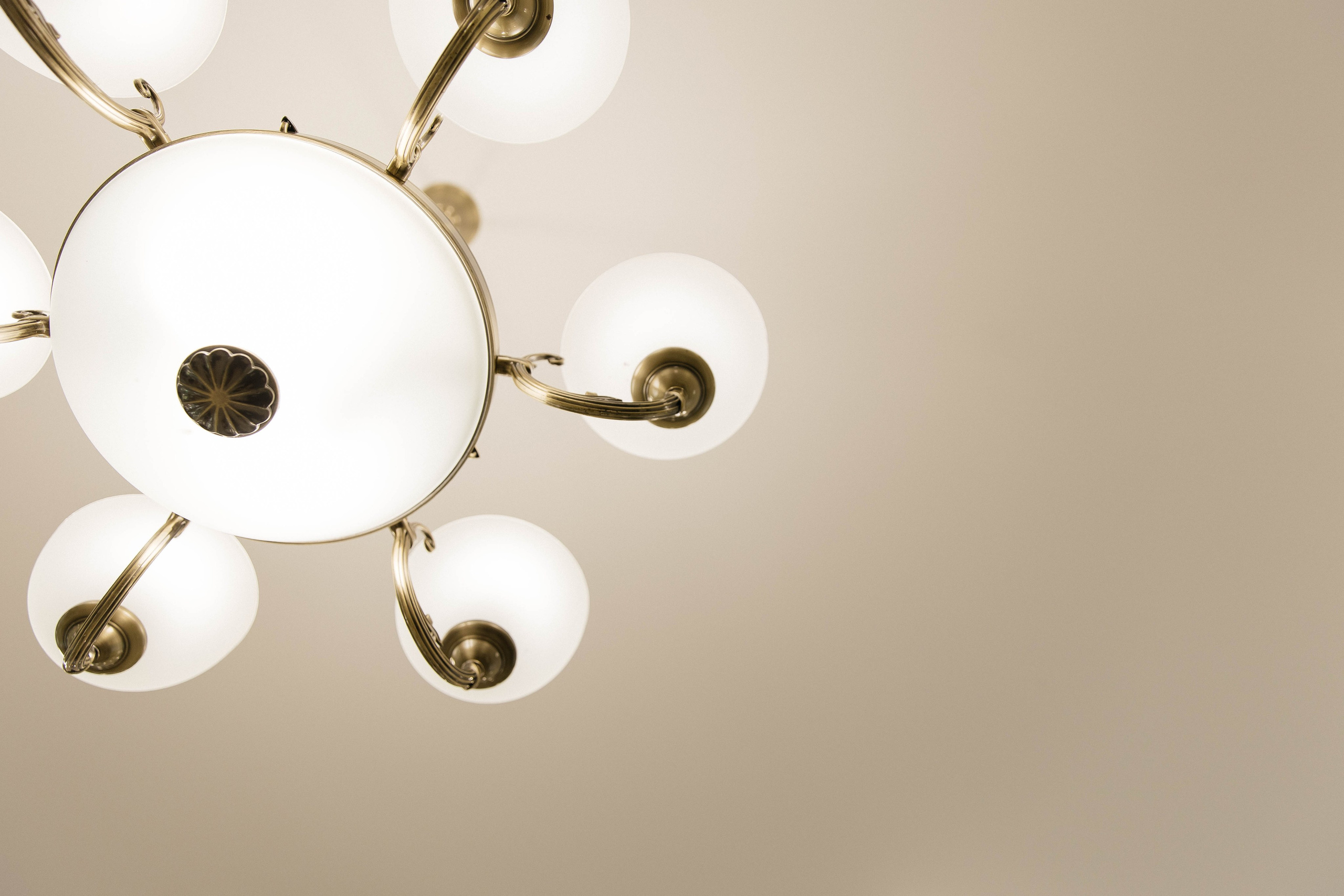 Паша & Даша. VOLOCHKOVA