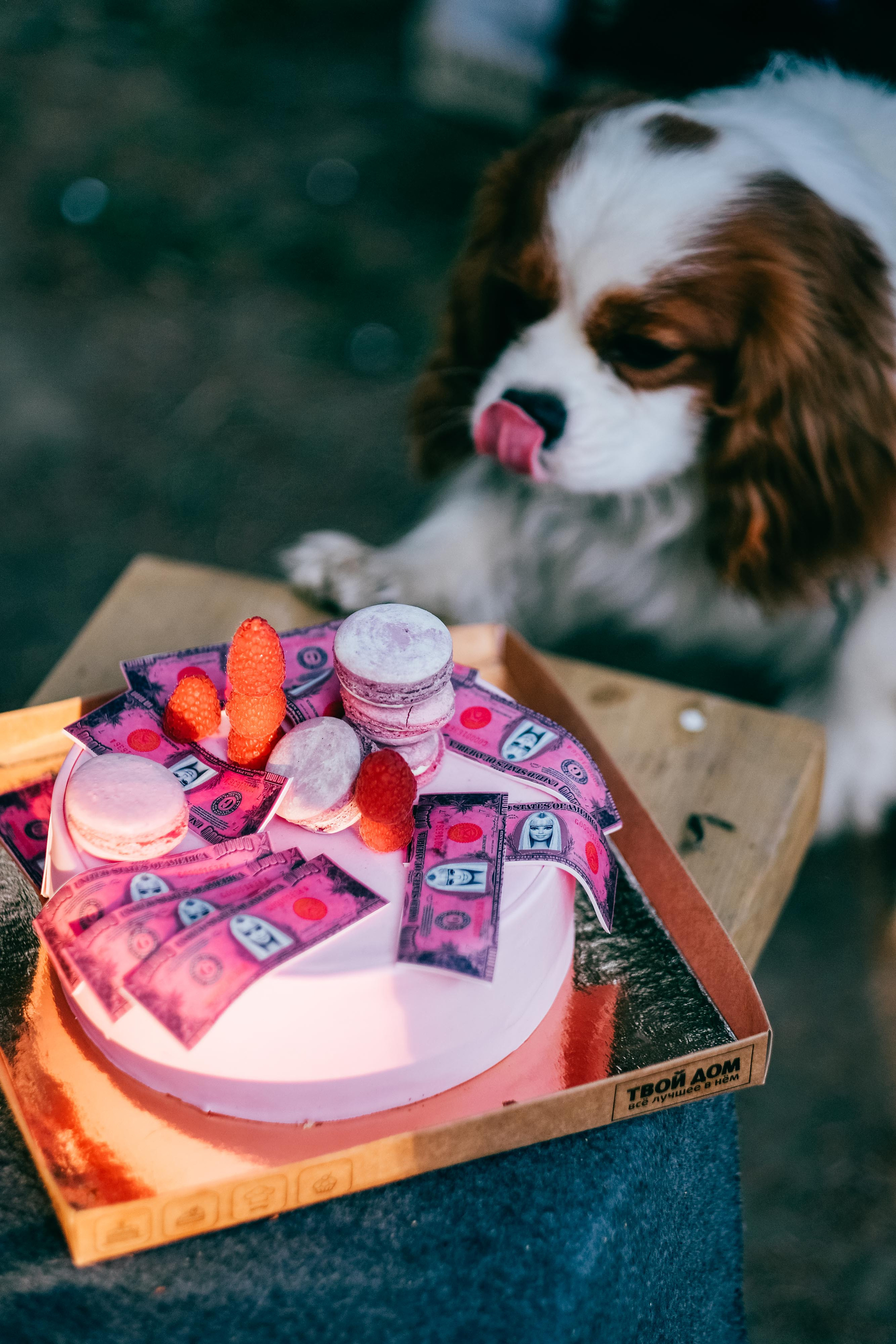 Виолетта. Светлана Наконечная, фотограф и видеограф, Москва/Крым