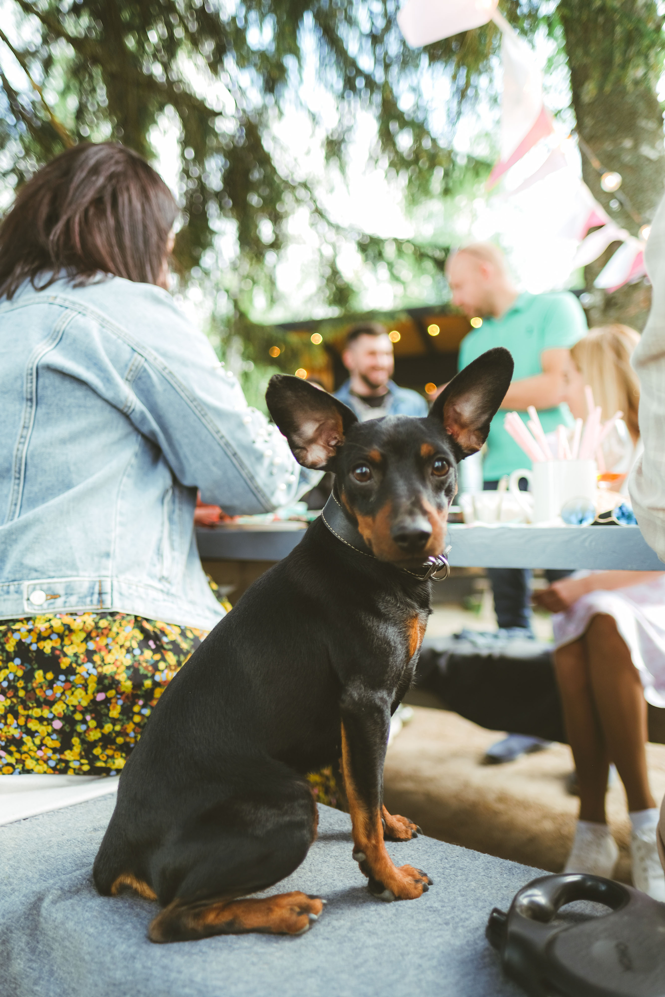 Виолетта. Светлана Наконечная, фотограф и видеограф, Москва/Крым