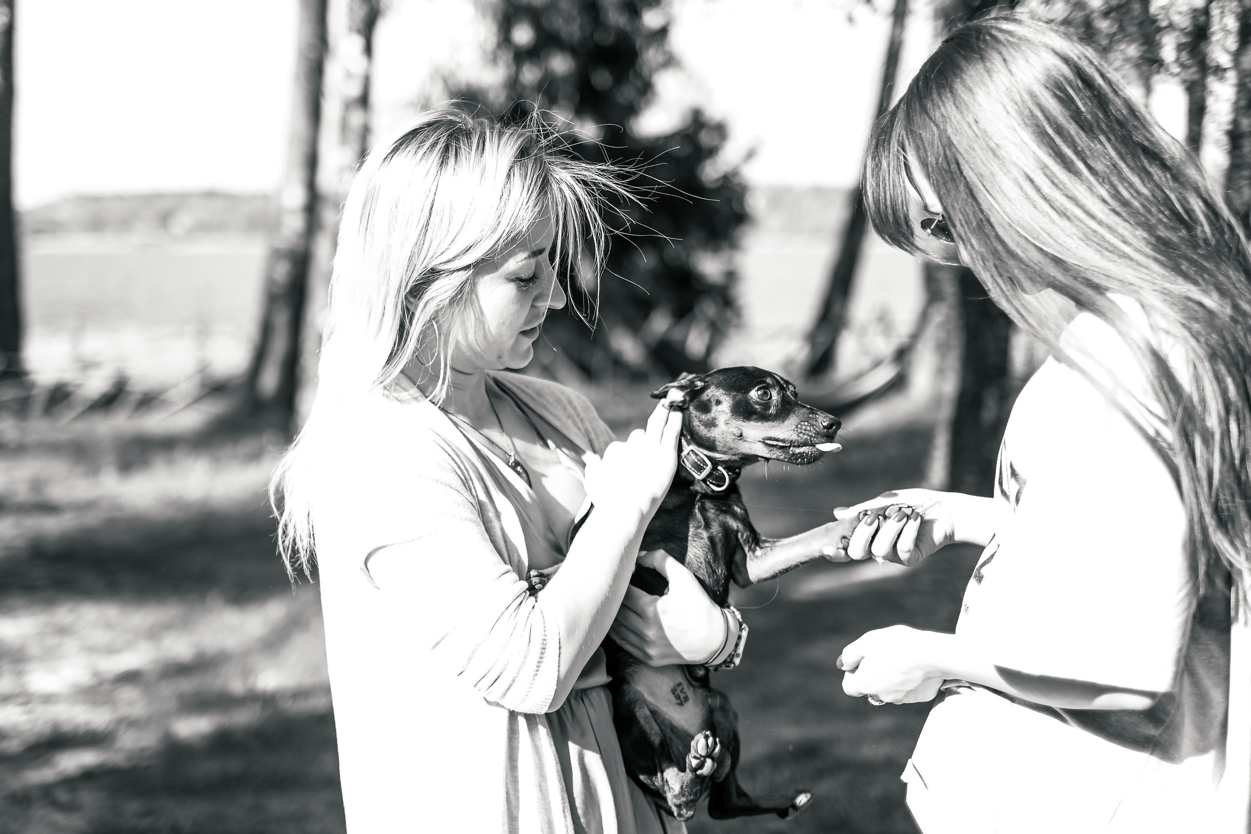 Виолетта. Светлана Наконечная, фотограф и видеограф, Москва/Крым