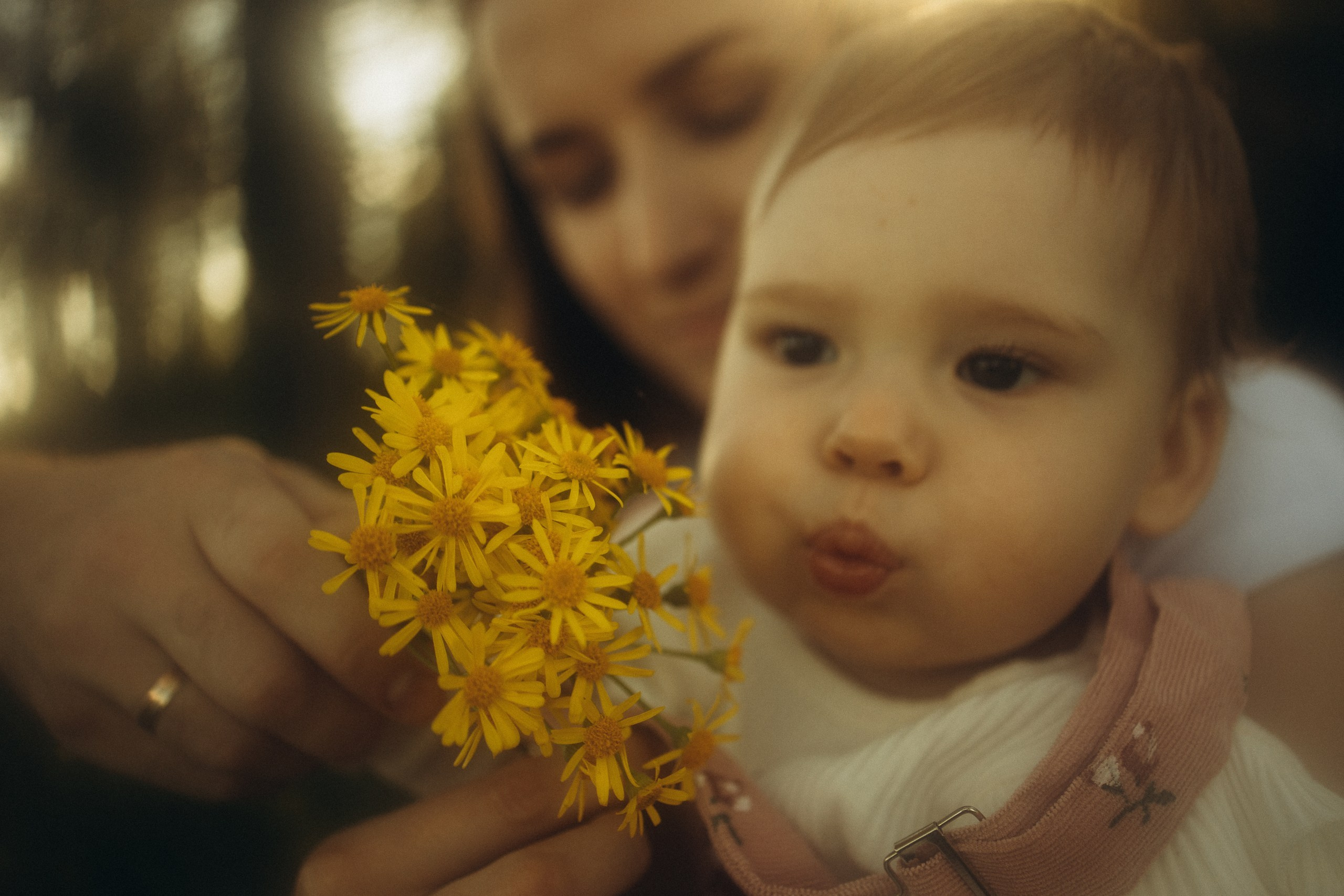 Одним жарким июньским вечером. Семейный фотограф Новосибирск Фотограф на выписку Новосибирск