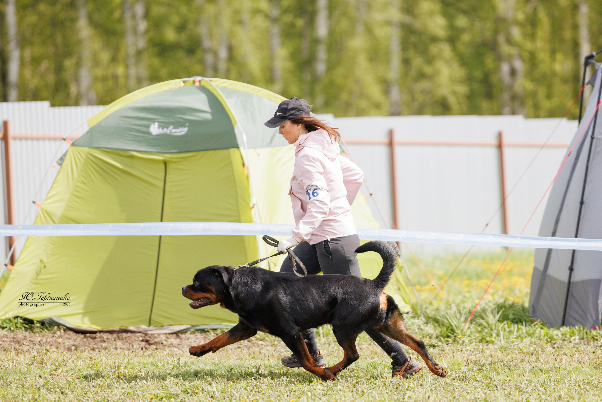 Нижний Новгород 2хмоно ротвейлеров 10-11.05.2025. Фотограф-анималист Юлия Германика