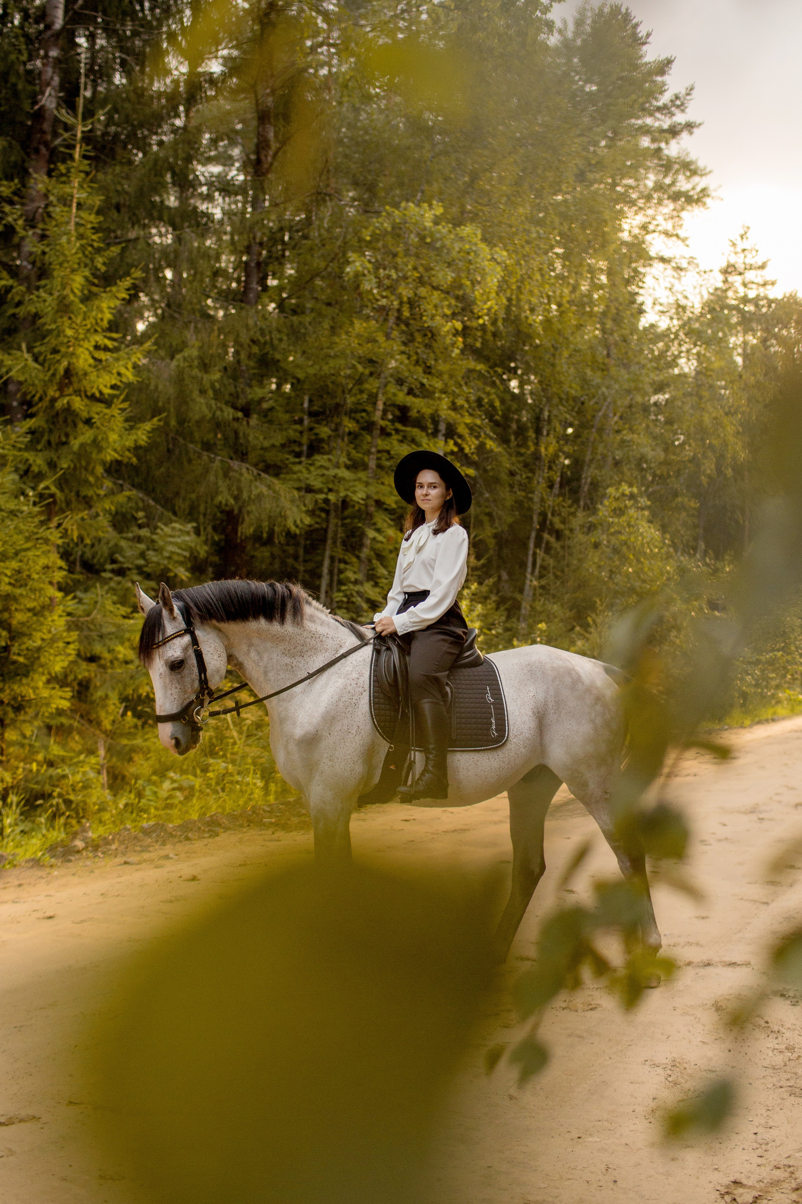 Фотодень с лошадьми в СПб