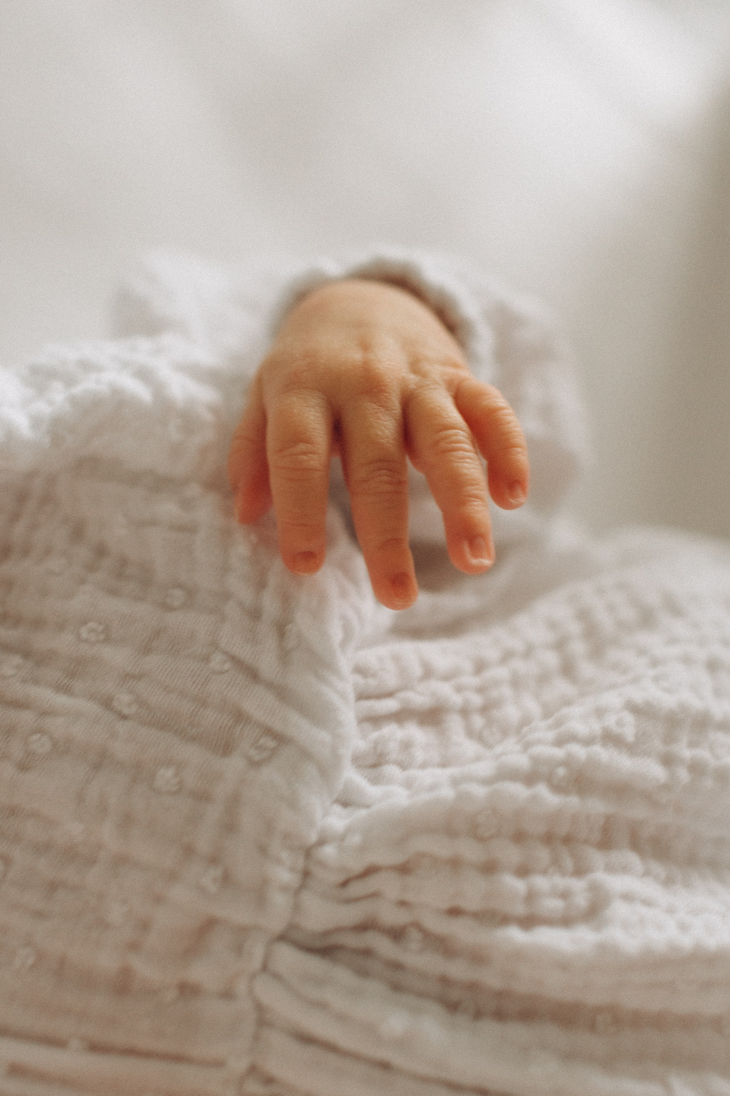 Newborn. -