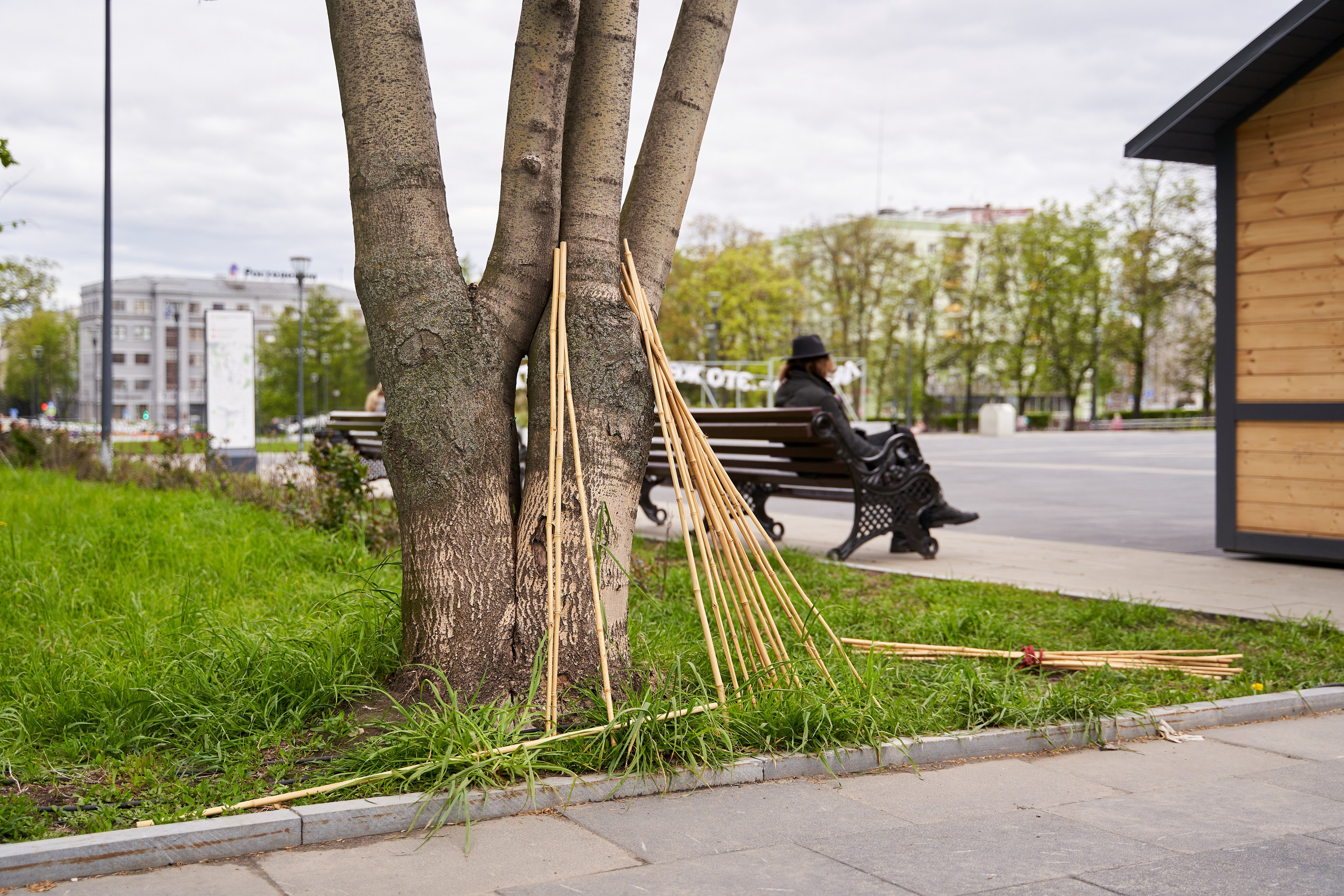 Городской квест в рамках регионального фестиваля «Учись без границ». Репортажный фотограф Вилянов Евгений. Нижний Новгород