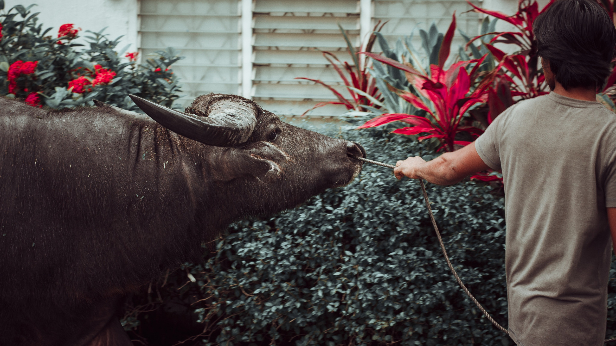 Туризм Люди. Ню Фотограф Александр Касымов Москва, фотосессии, Химки фотограф