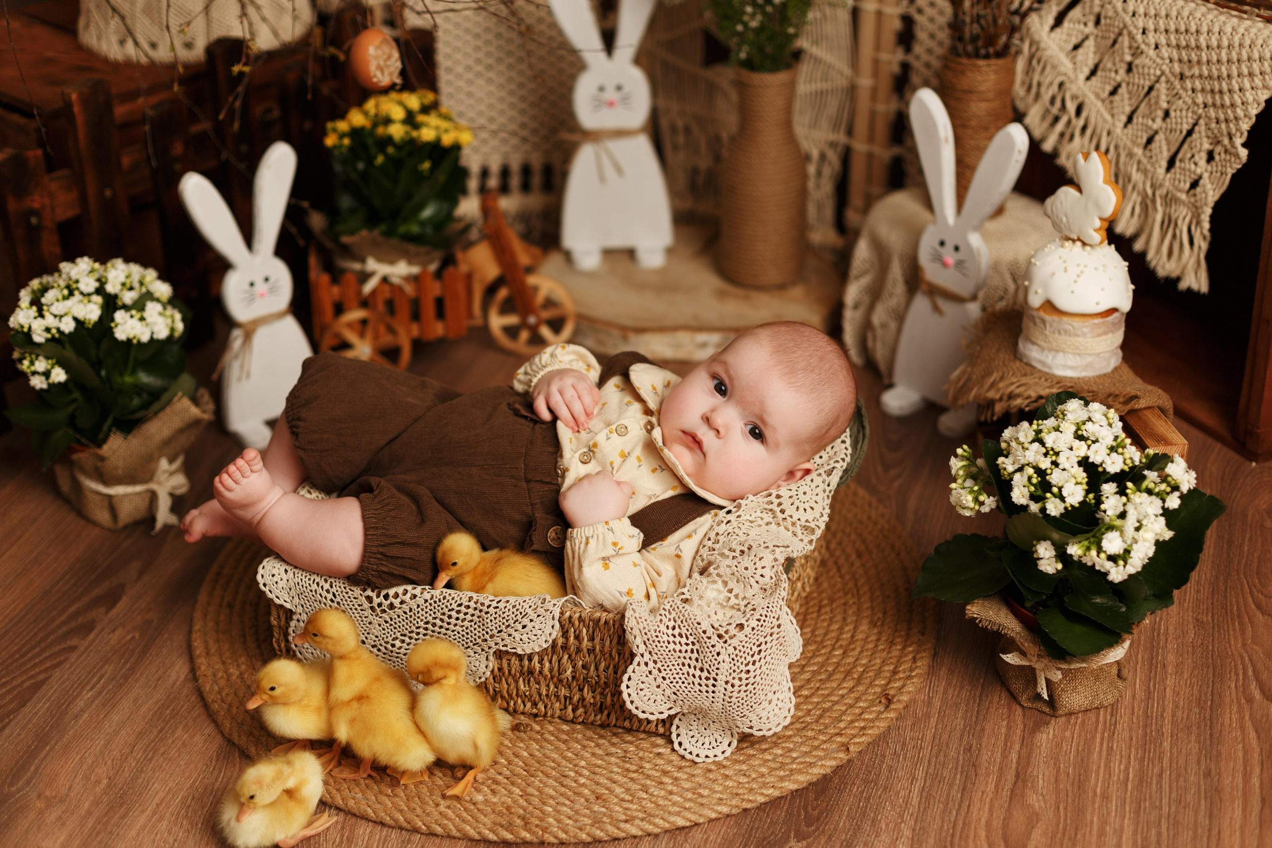 Фотопроекты. Фотограф новорождённых семейный фотограф Томск Елена Каплина