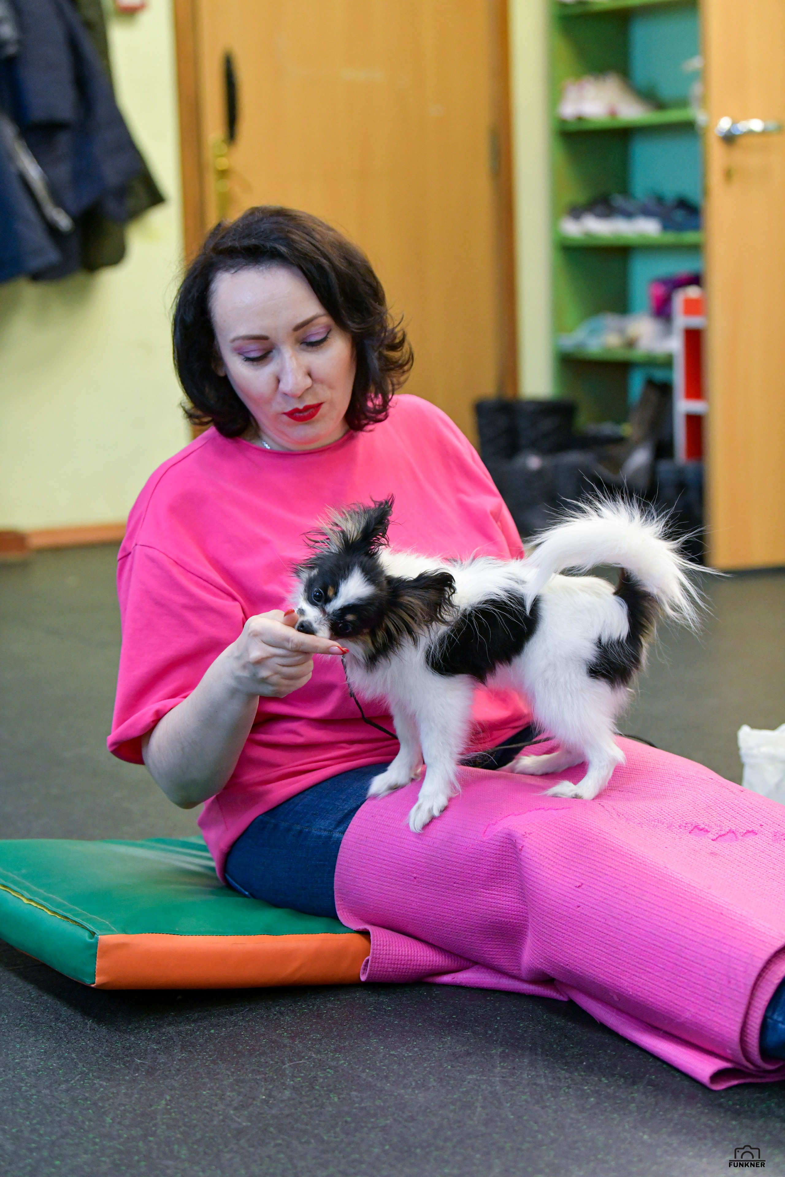 Кинологический клуб «Бодрый хвост». Свой взгляд через объектив