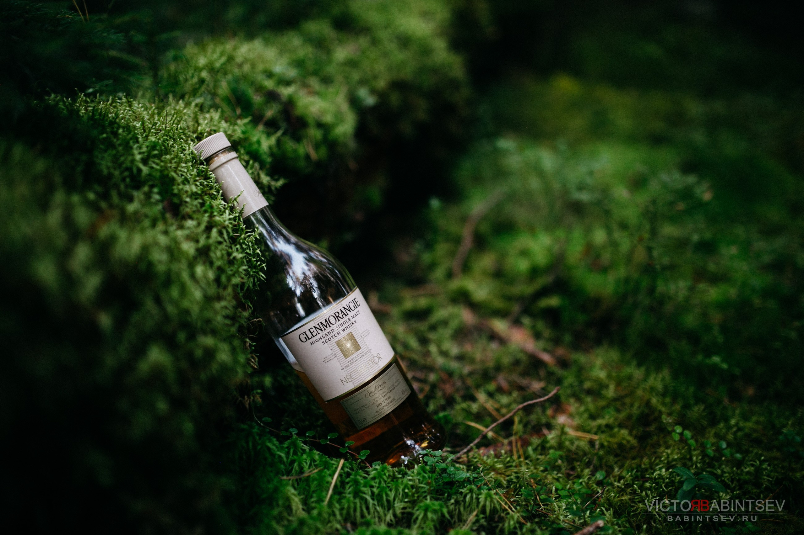 Whisky. Семейный и репортажной фотограф в Красноярске и Москве Виктор Бабинцев