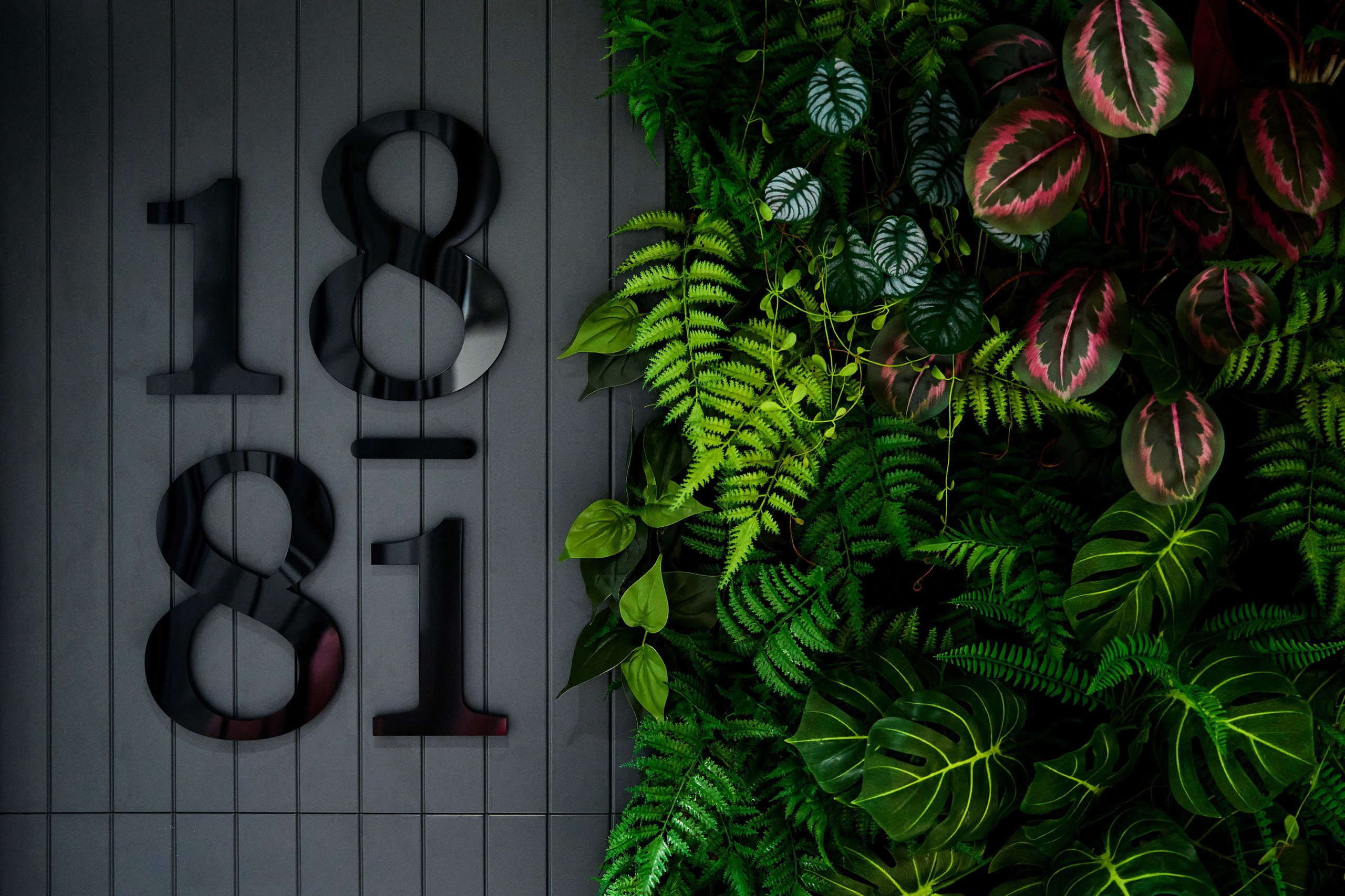 Интерьерная съемка 1881. Фотограф в Хабаровске