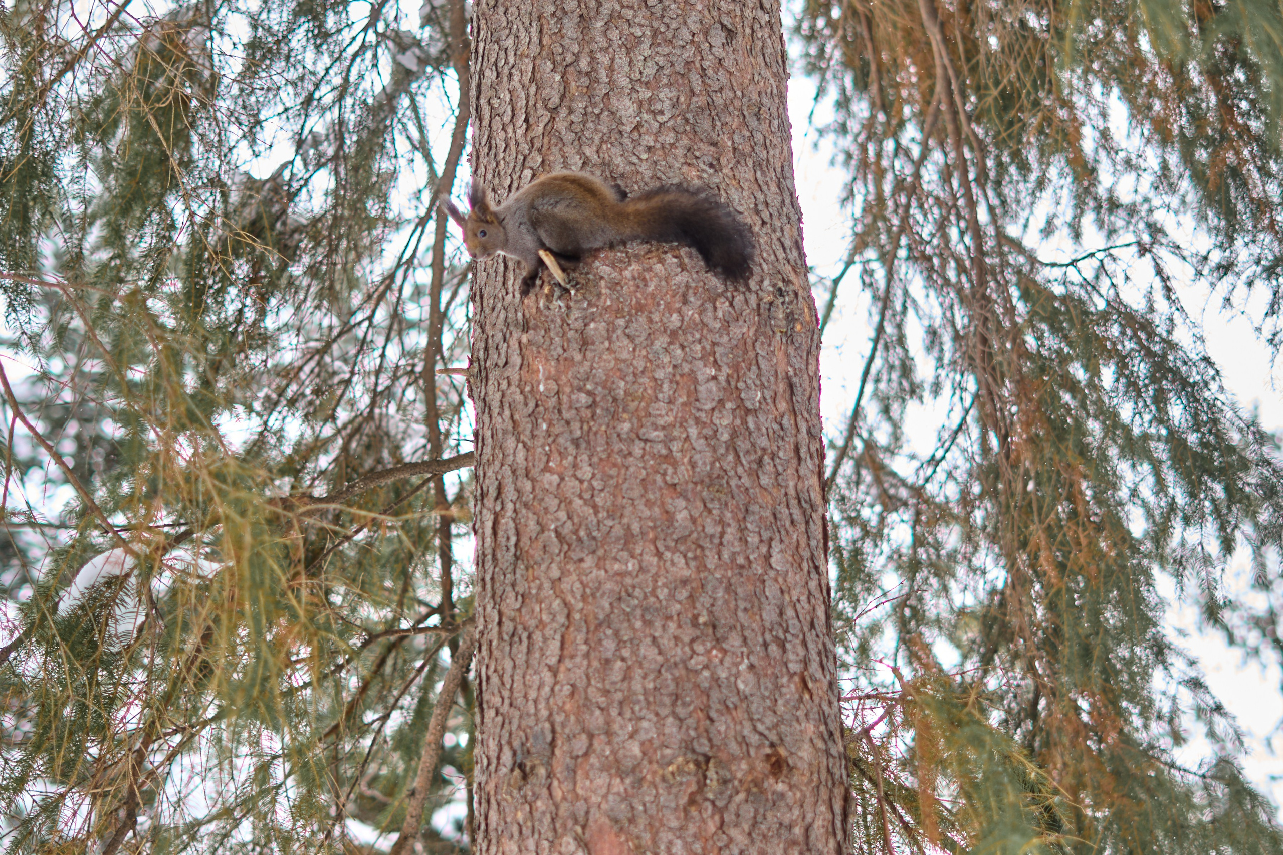 Природа. Фотограф Екатерина Зорина