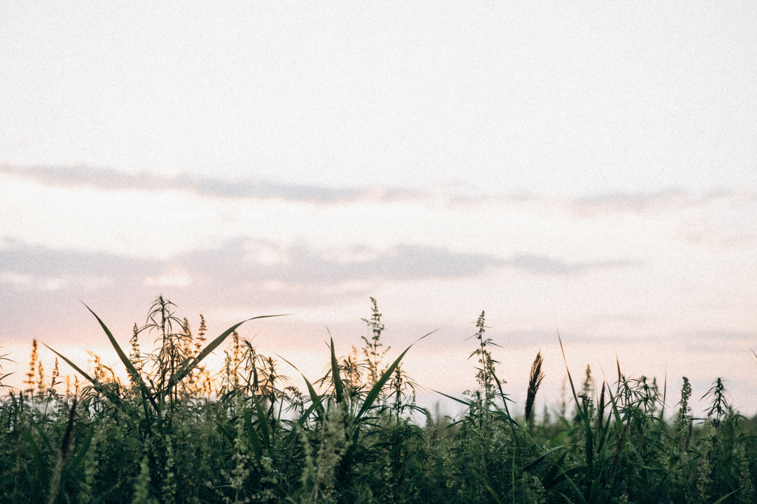 Большой секрет для маленькой компании. Семейный фотограф в Калининграде Елена Глазунова