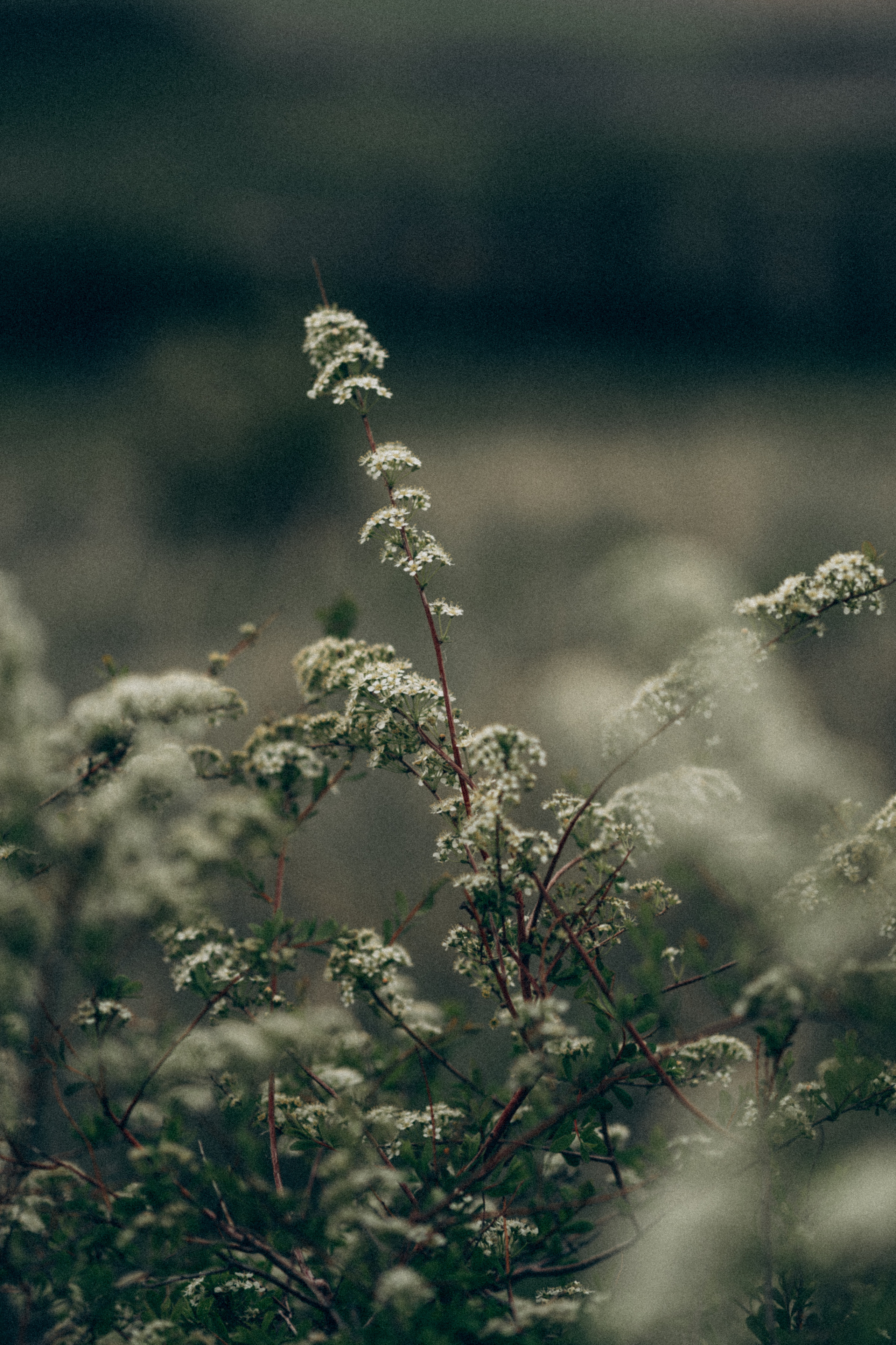 Мы есть друг у друга. Семейный фотограф в Калининграде Елена Глазунова
