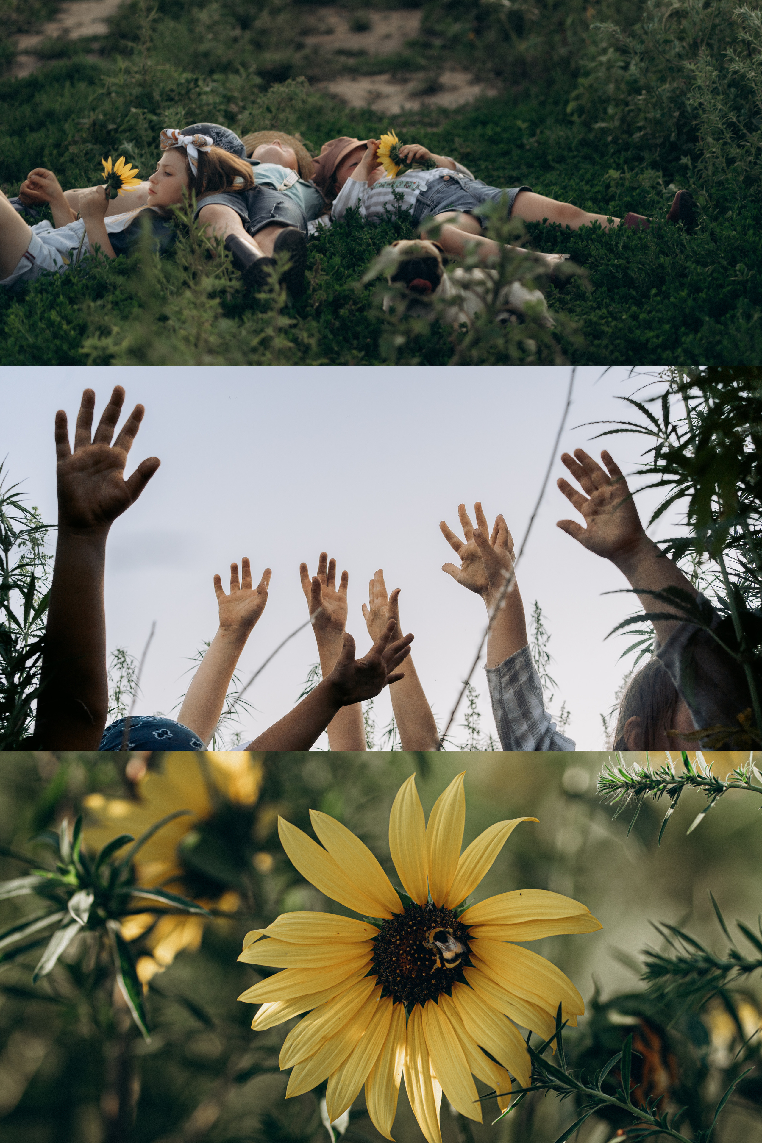 Большой секрет для маленькой компании. Семейный фотограф в Калининграде Елена Глазунова