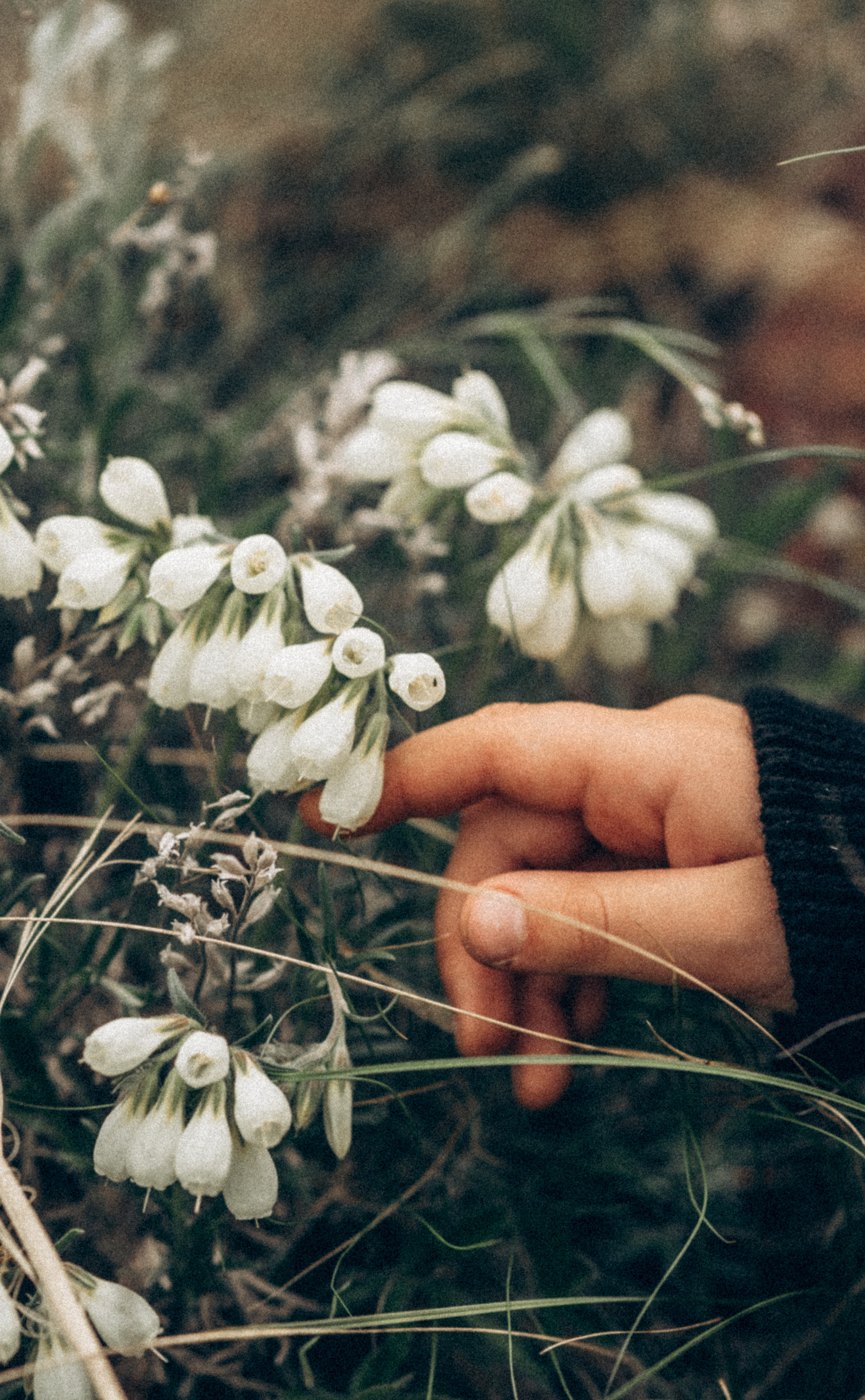 Мы есть друг у друга. Семейный фотограф в Калининграде Елена Глазунова