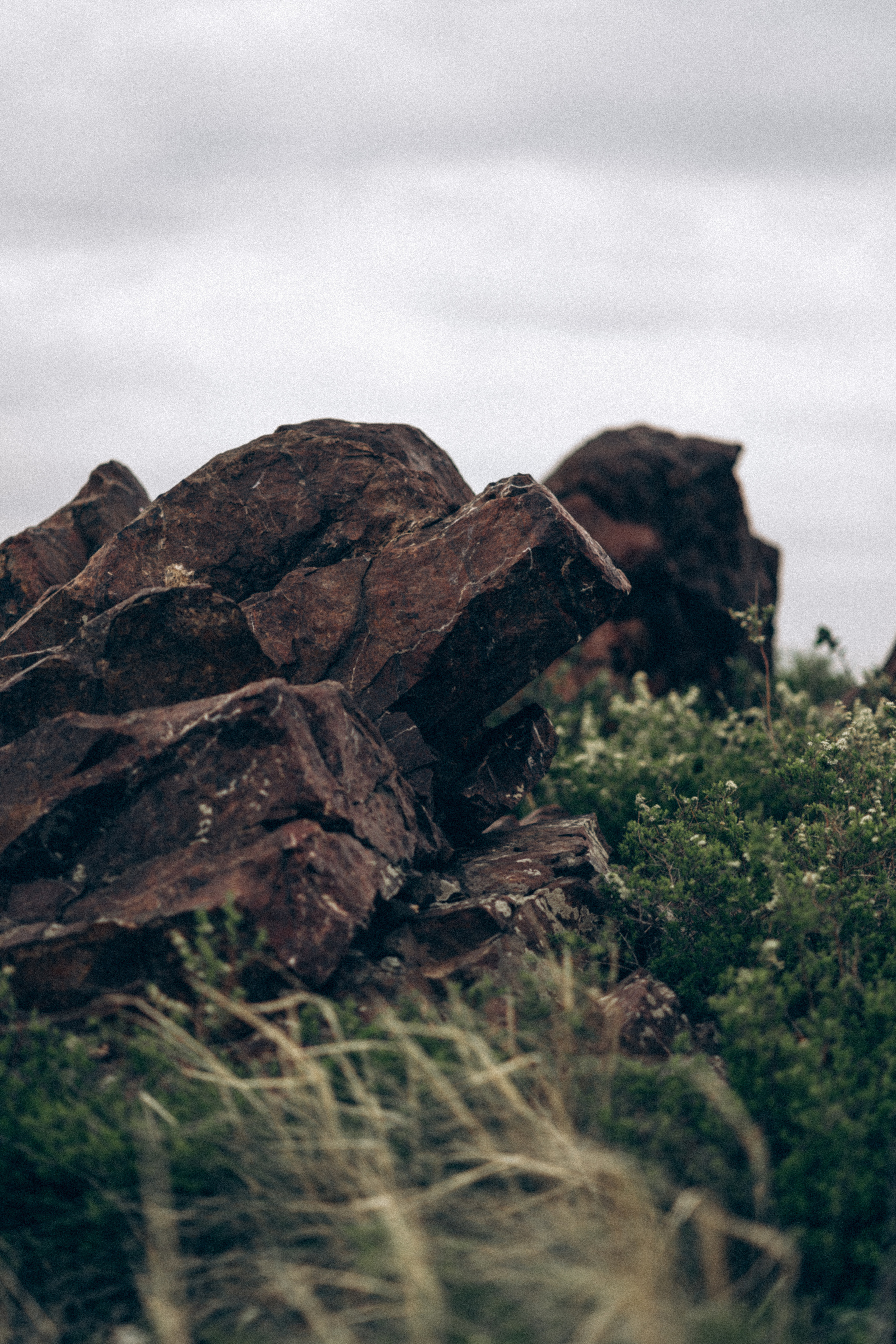 Мы есть друг у друга. Семейный фотограф в Калининграде Елена Глазунова