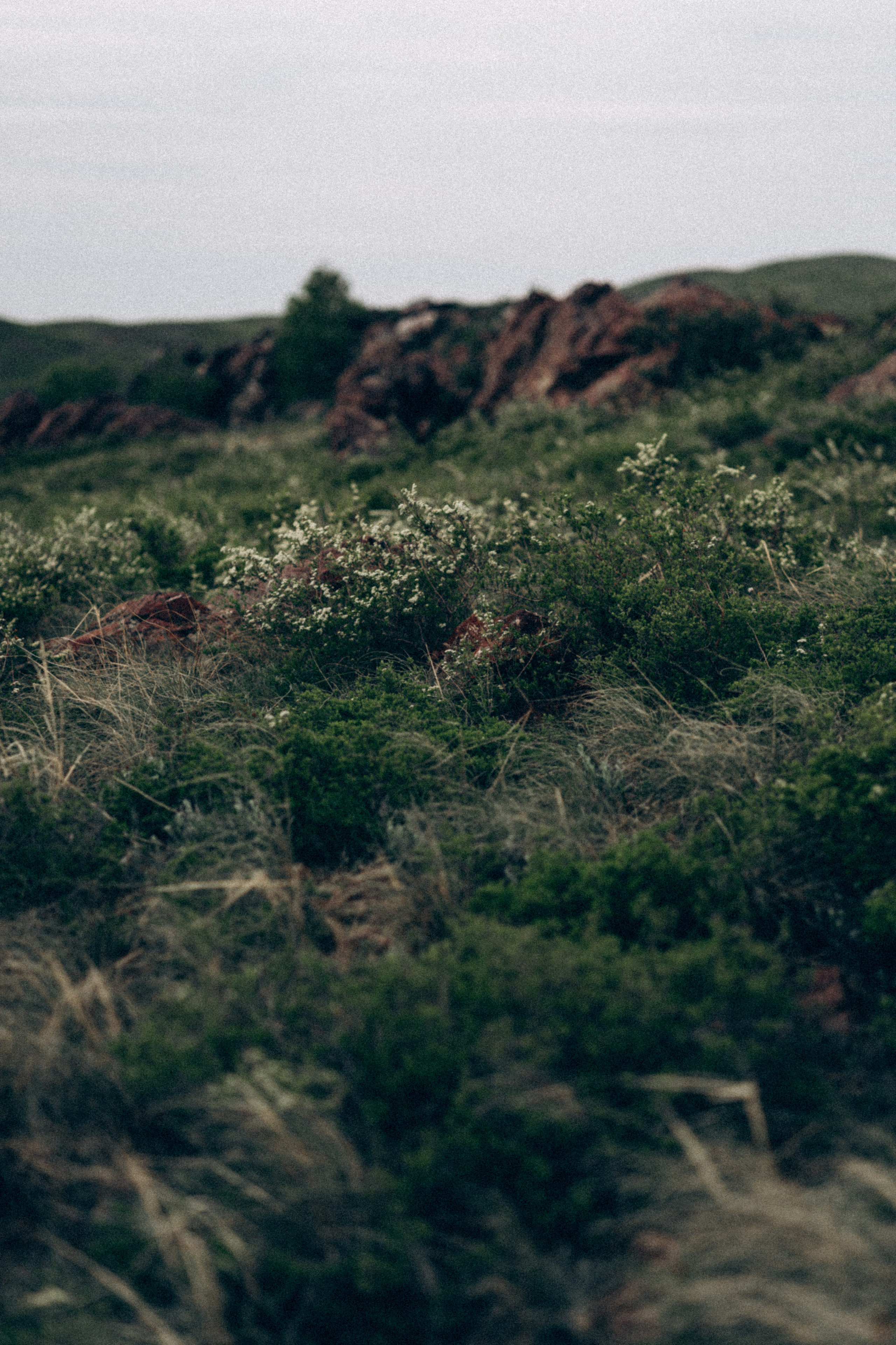 Мы есть друг у друга. Семейный фотограф в Калининграде Елена Глазунова