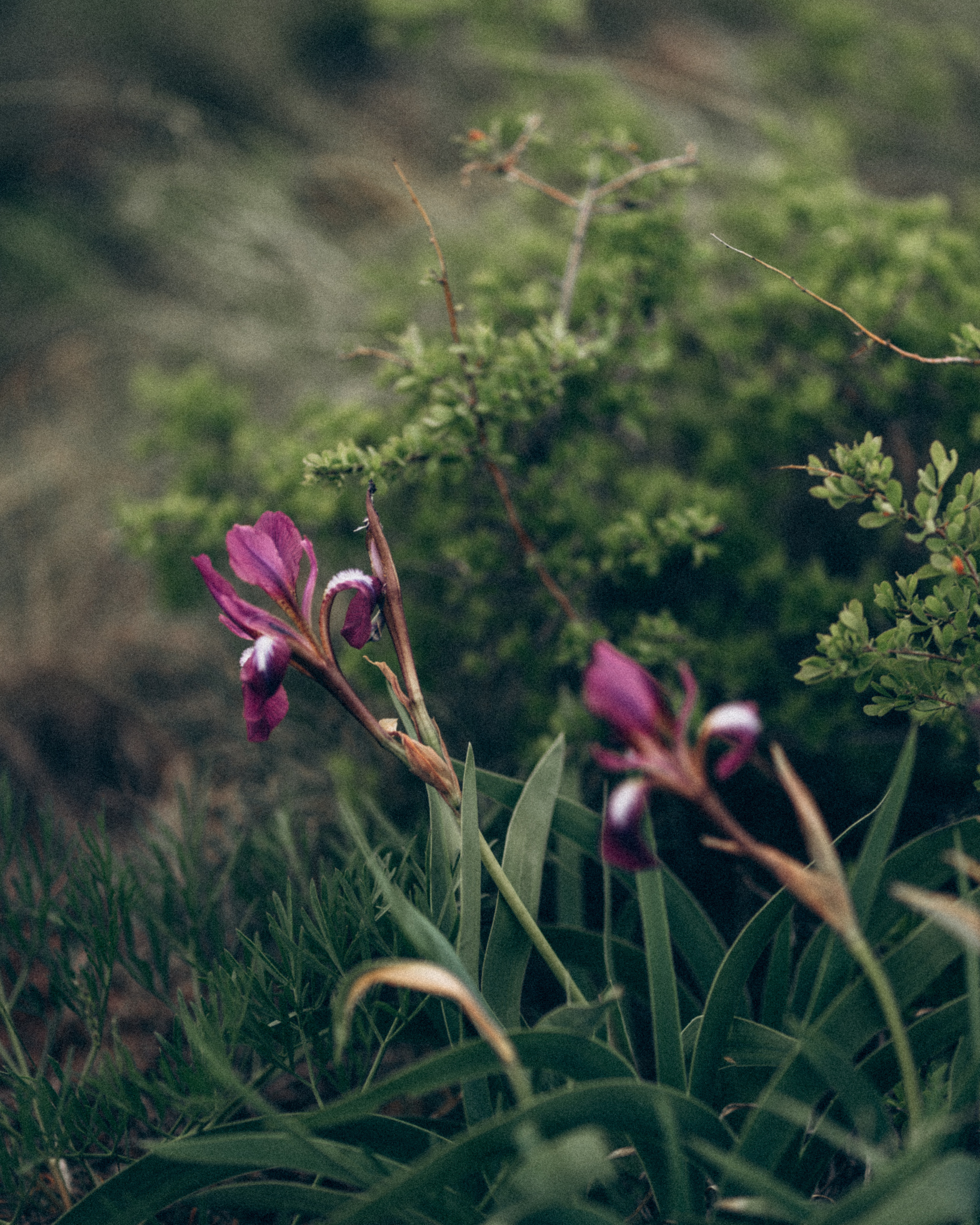 Мы есть друг у друга. Семейный фотограф в Калининграде Елена Глазунова