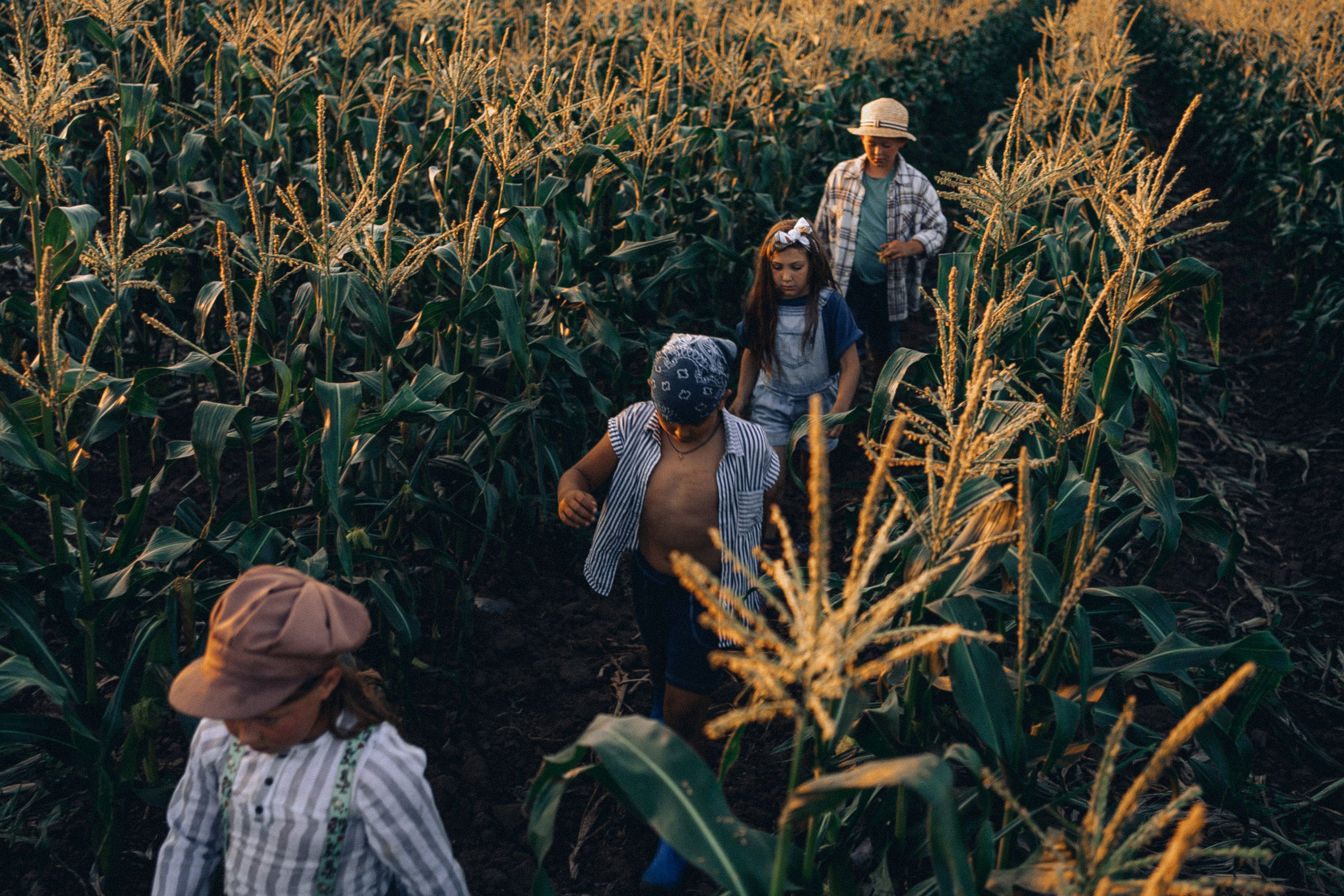 Большой секрет для маленькой компании. Семейный фотограф в Калининграде Елена Глазунова