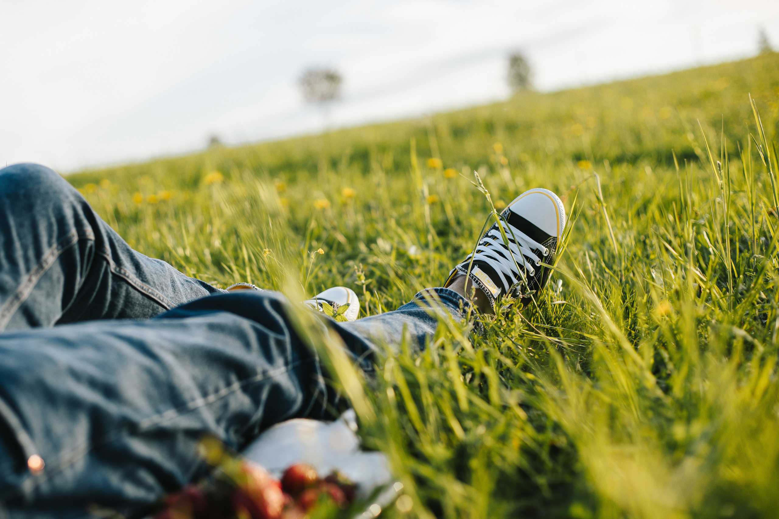 Денис и Лена. Фотограф в Сергиевом Посаде Сергей Горбунов