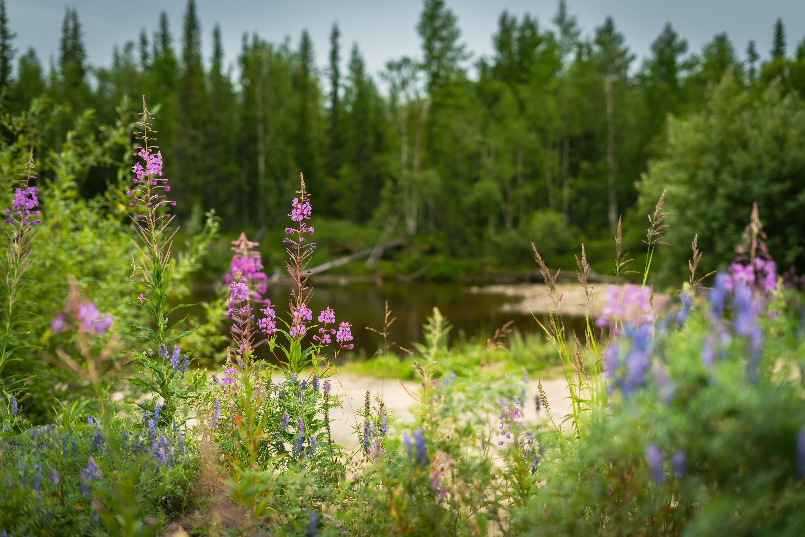 Фотограф Екатерина Зорина