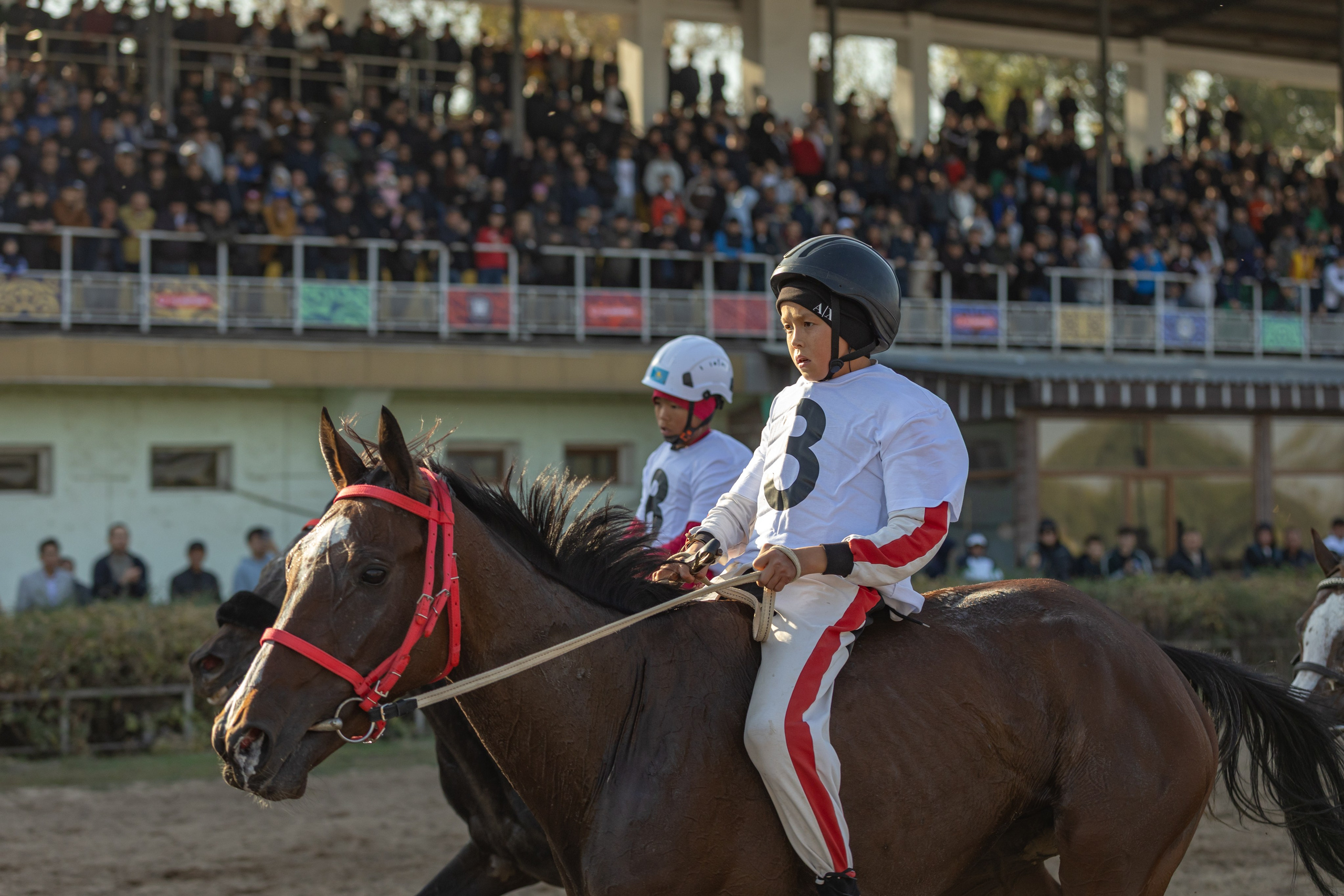 Фоторепортаж финал Казахстана по байге 2025 — конные забеги. Коммерческий и репортажный фотограф в Алматы — Jora Abramov